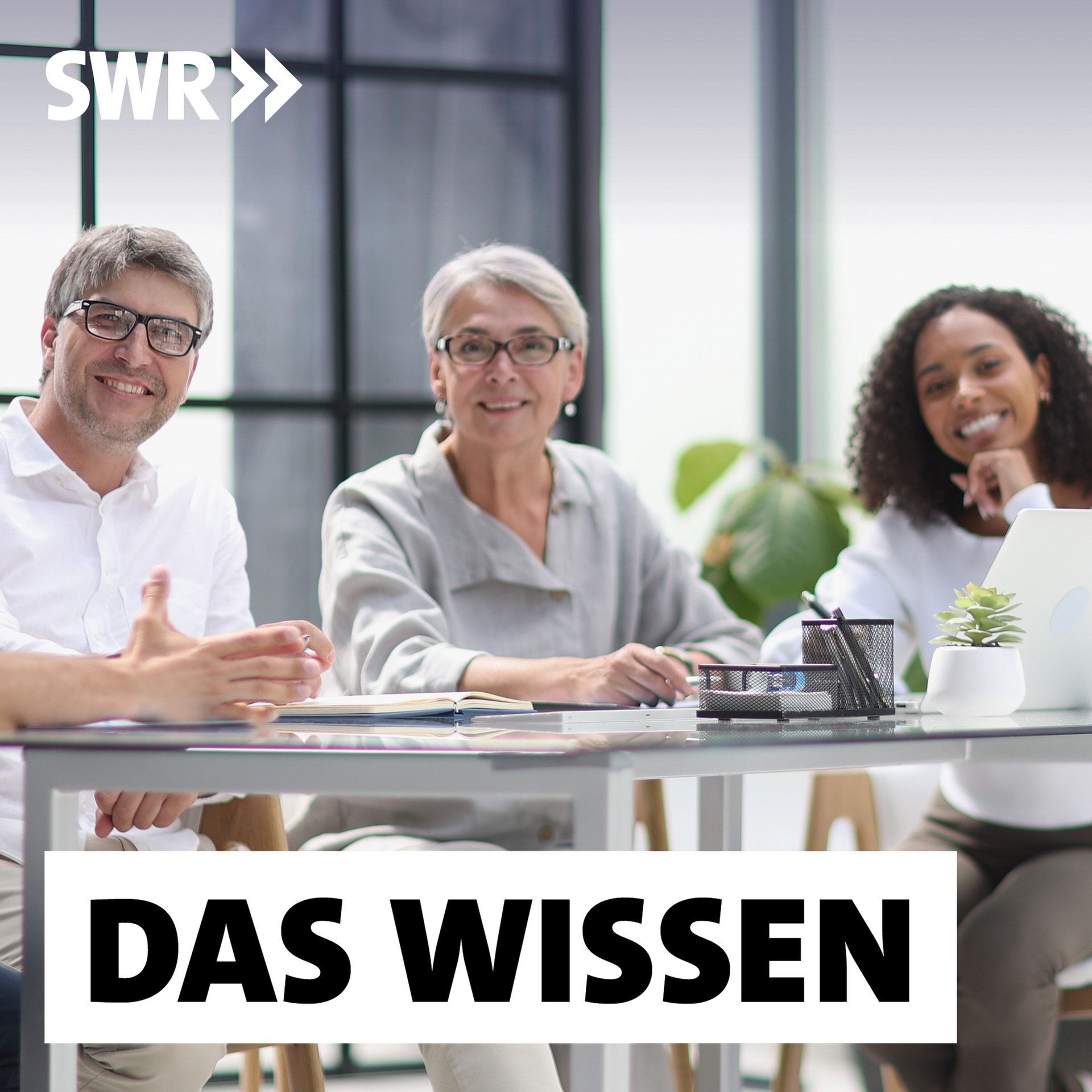 Die Wechseljahre – Wie Arbeitgeber und Gesellschaft Frauen unterstützen (2/2)