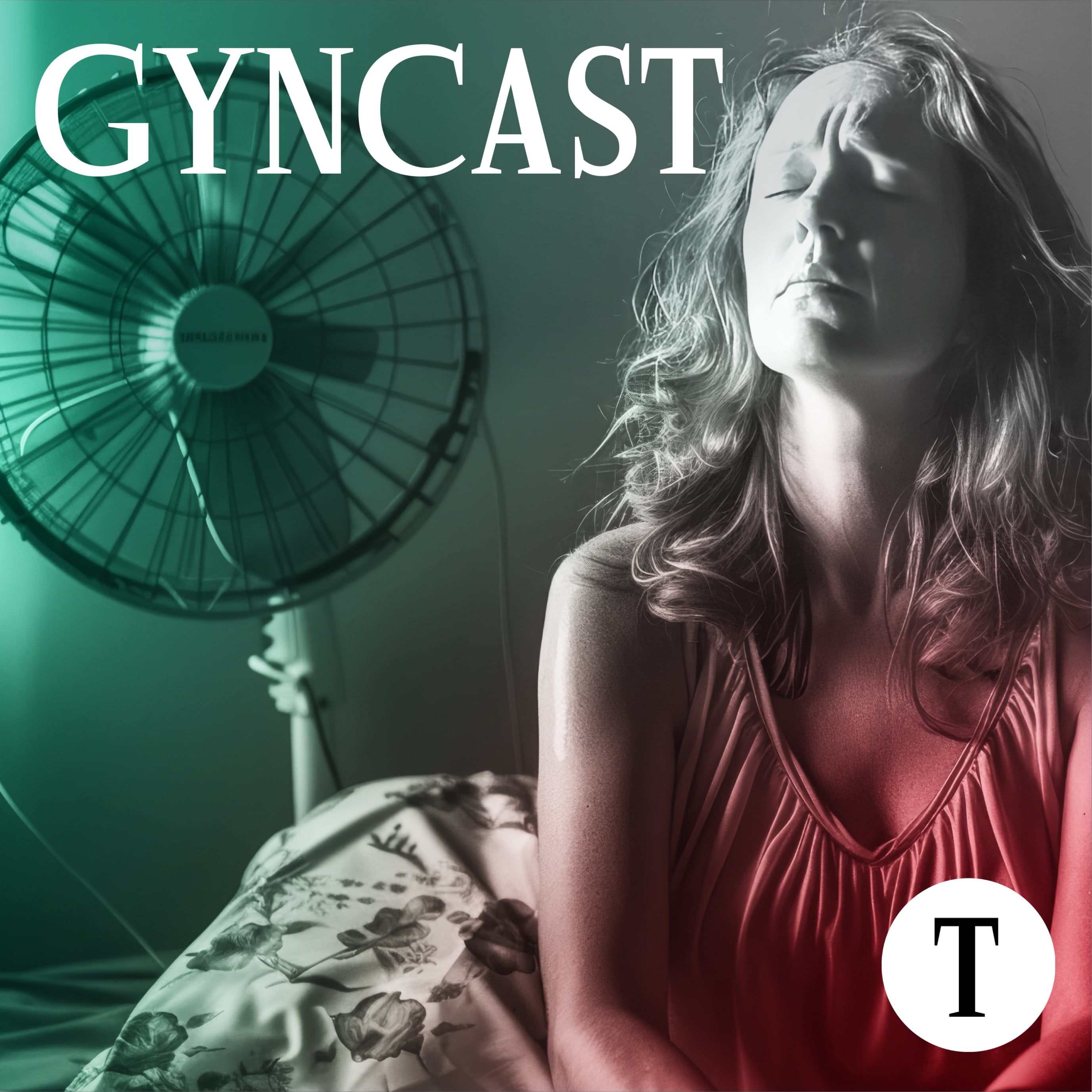 Die Wechseljahre zur Chance machen (mit Miriam Stein)