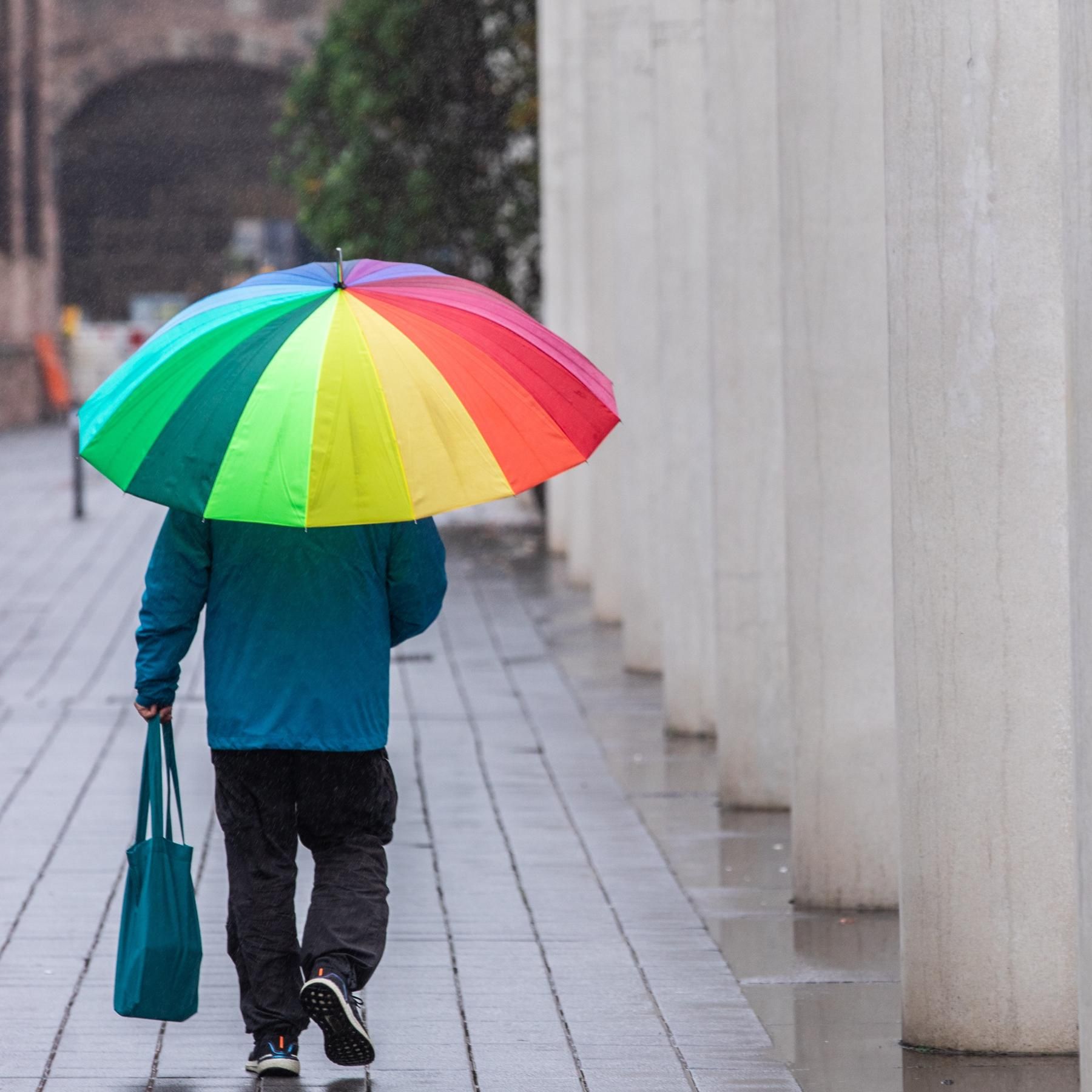 Die Wetterpropheten - Wie Meteorologen Sonne und Regen vorhersagen