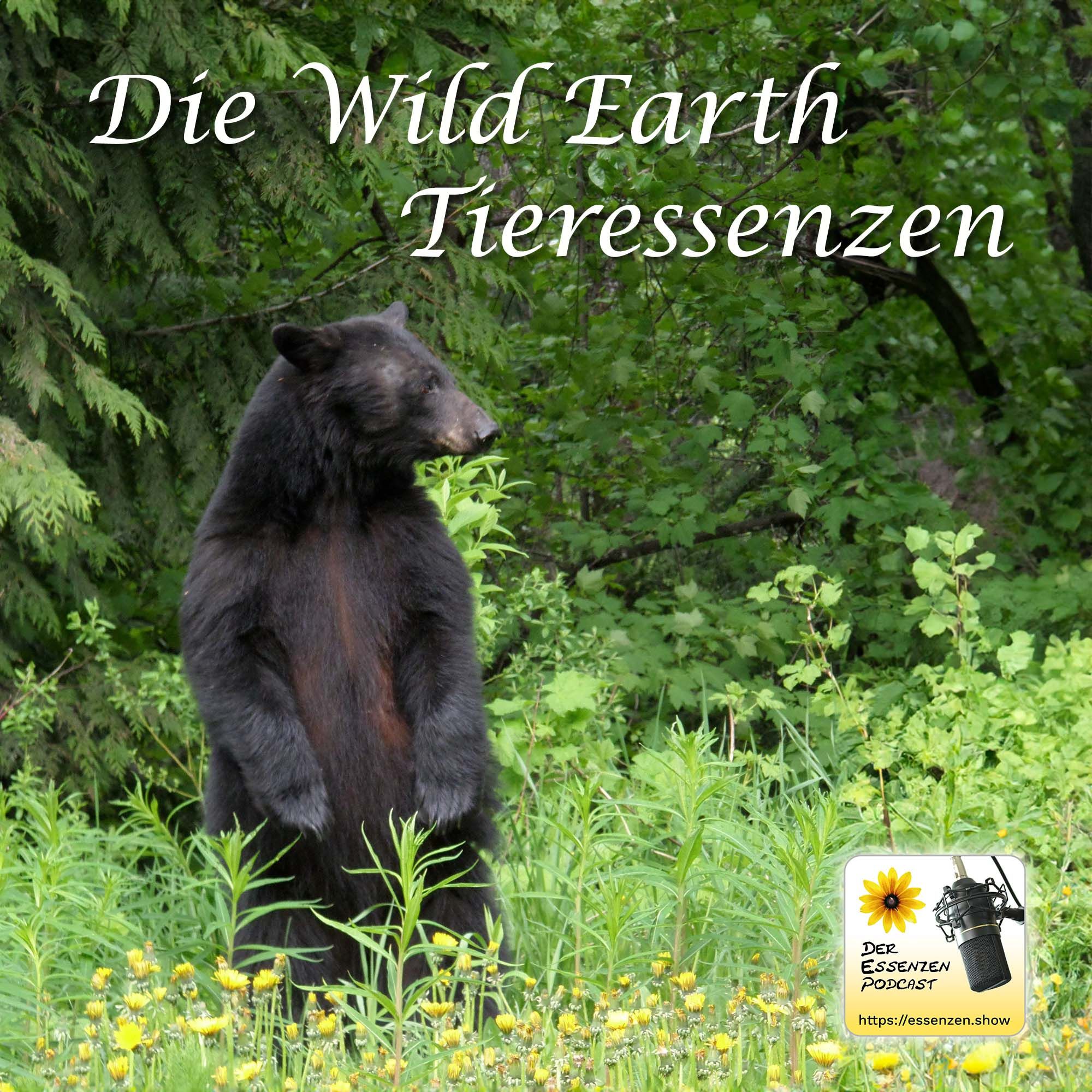 Die Wild Earth Tieressenzen aus den USA