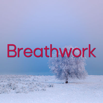 Die Wim Hof Methode 🌬️eine geniale Atemübung (mit unterstützender Musik)