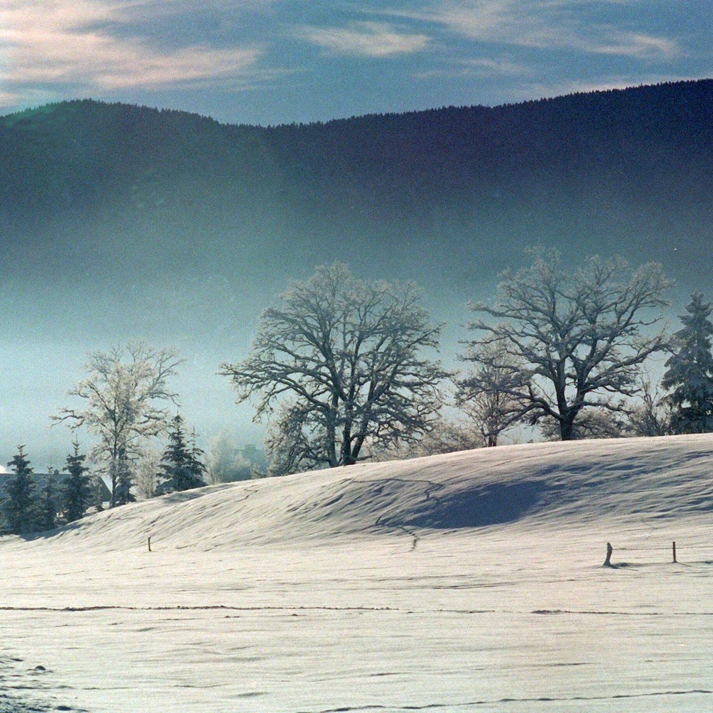 Die Winter werden wärmer und milder: War früher mehr Schnee?