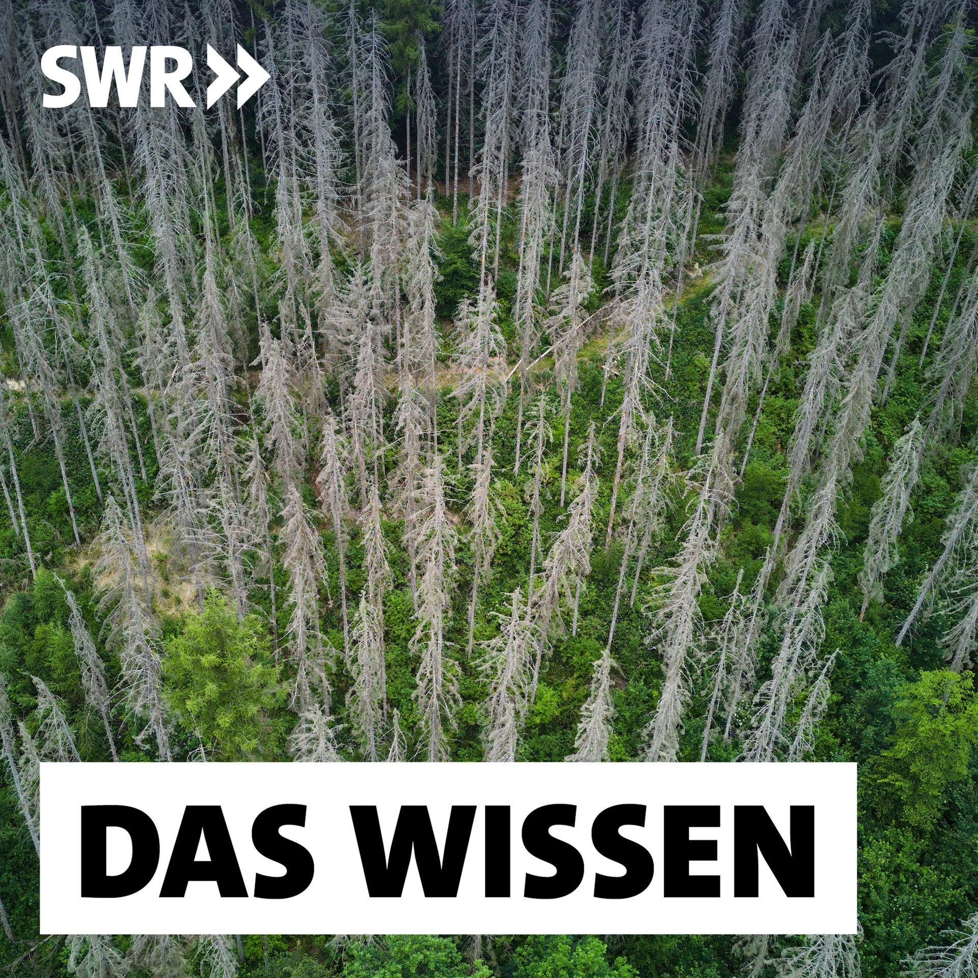 Die Zukunft der Natur – Wie sich Tiere und Pflanzen an den Klimawandel anpassen