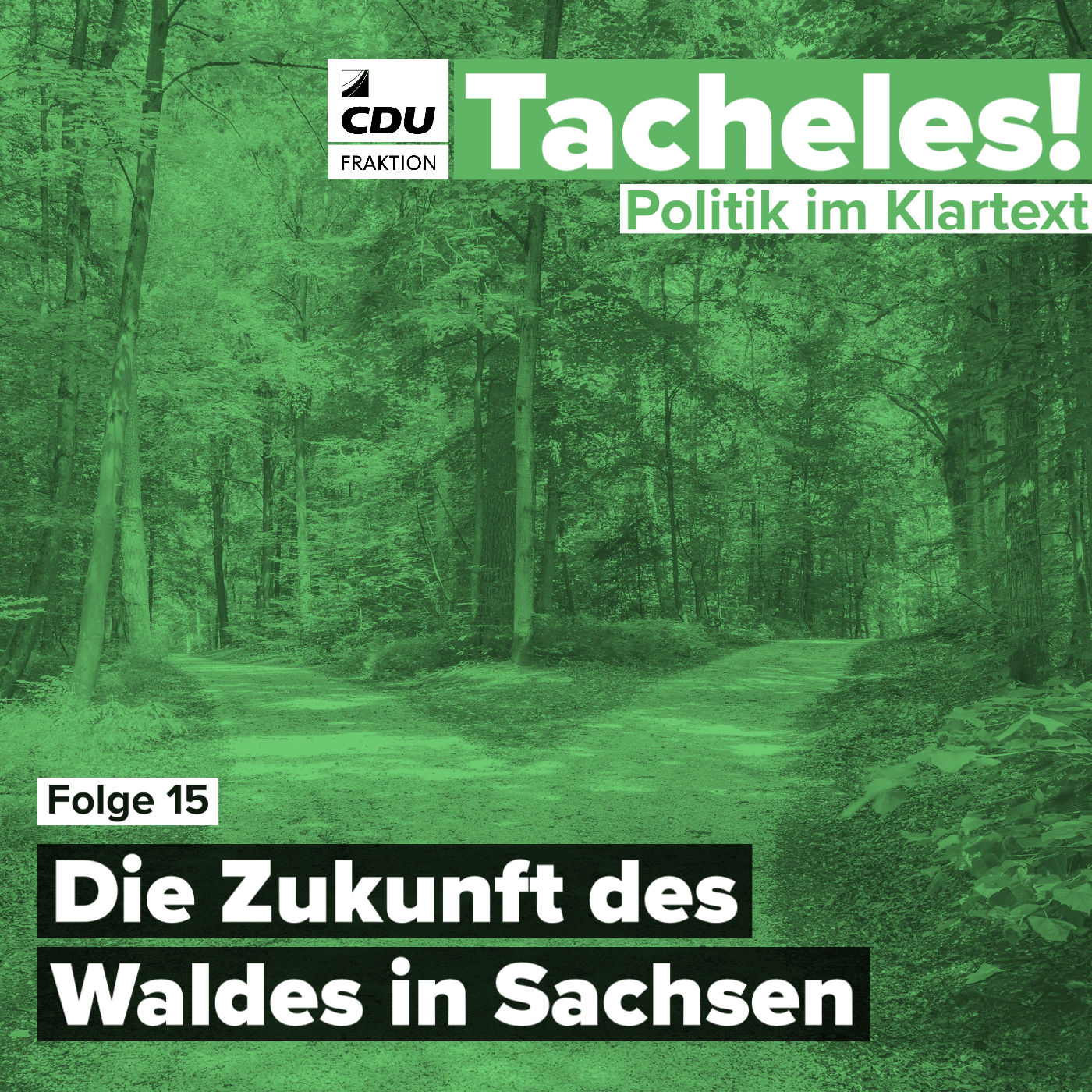 Die Zukunft des Waldes in Sachsen
