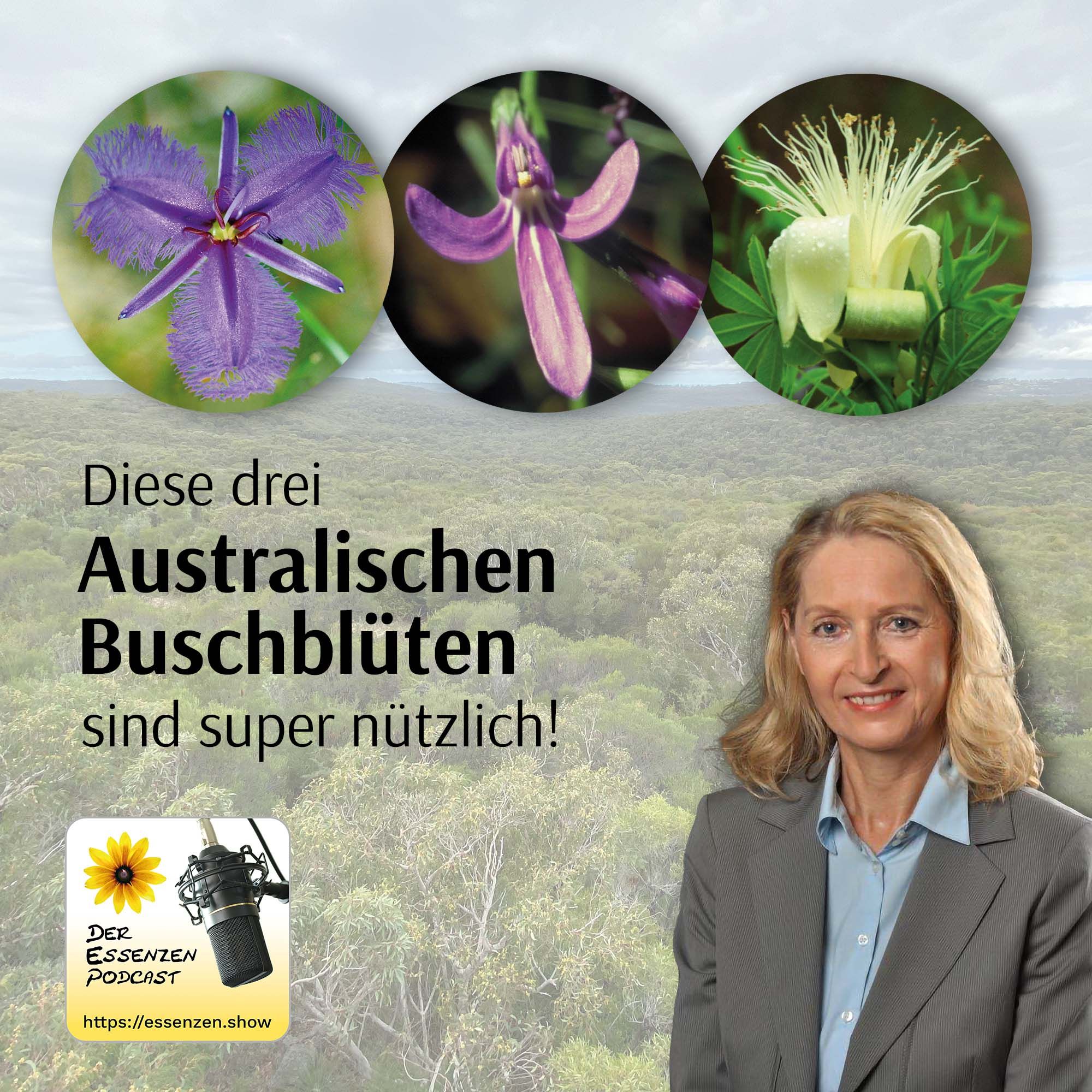Diese drei Australischen Buschblüten sind super nützlich!