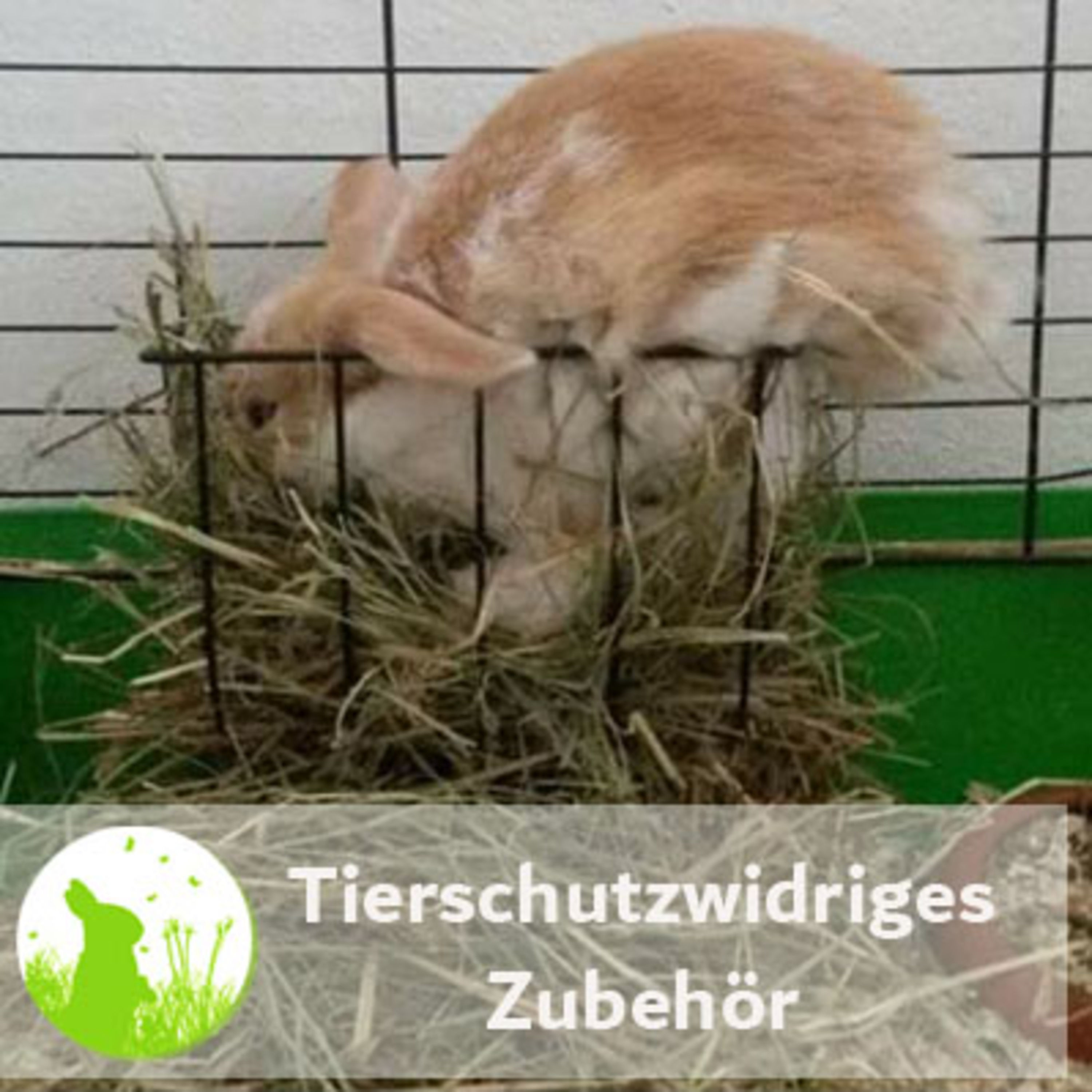 Dieses Zubehör kann Deine Kaninchen gefährden!