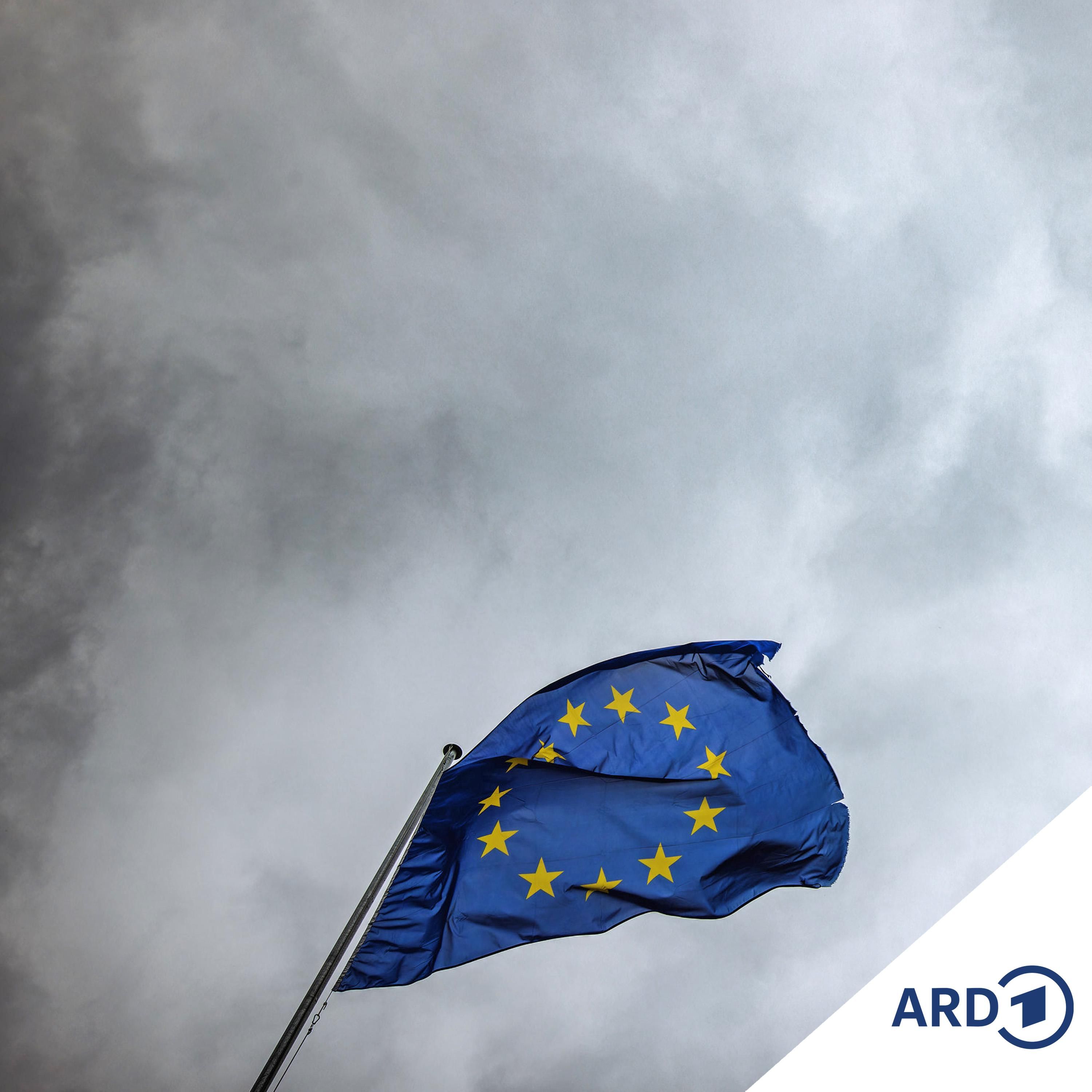 Diesmal wegen Grönland: Trump droht Europa mit Zöllen