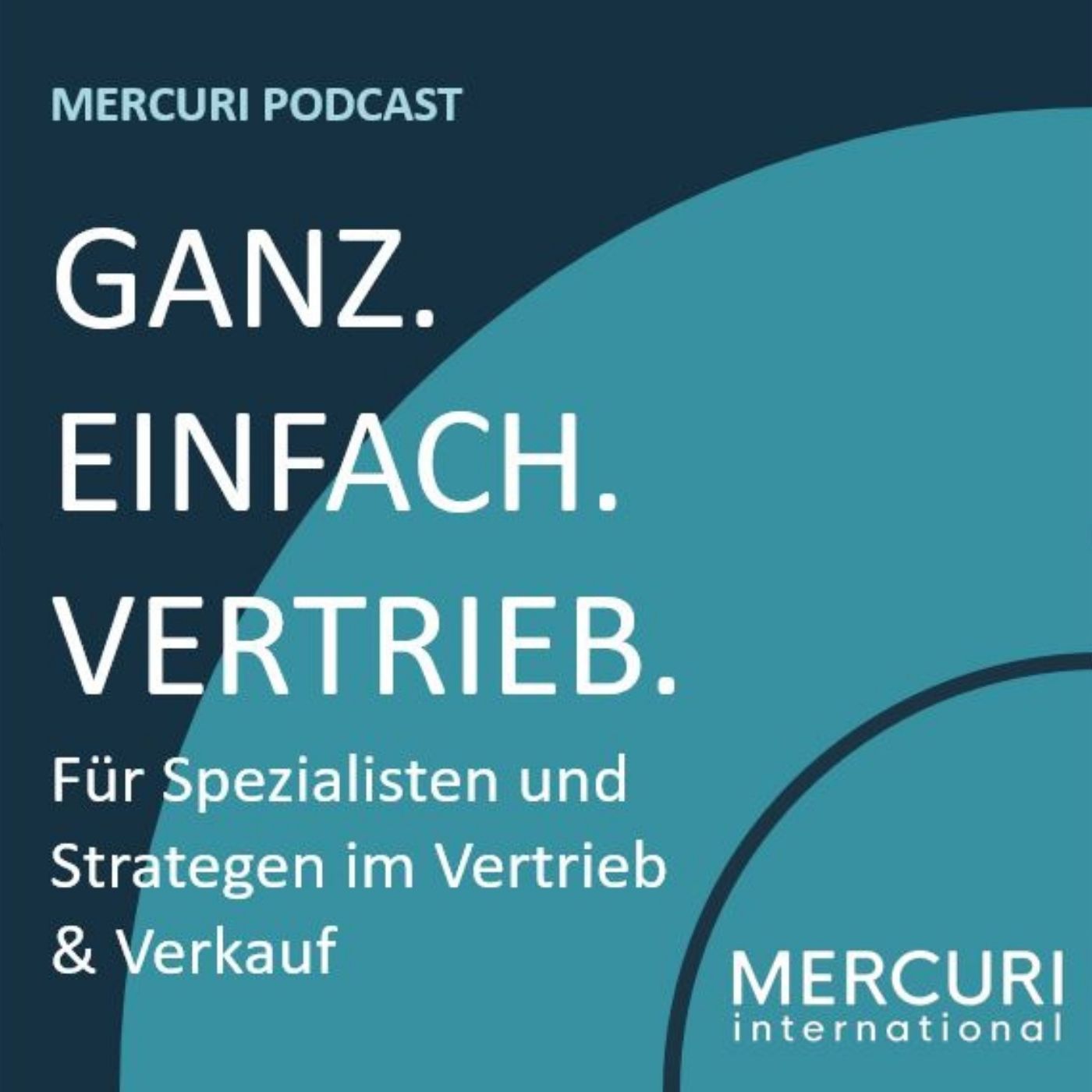 Digitaler Wandel im B2B, oder …kann Ihr Vertrieb einen Airbus fliegen?