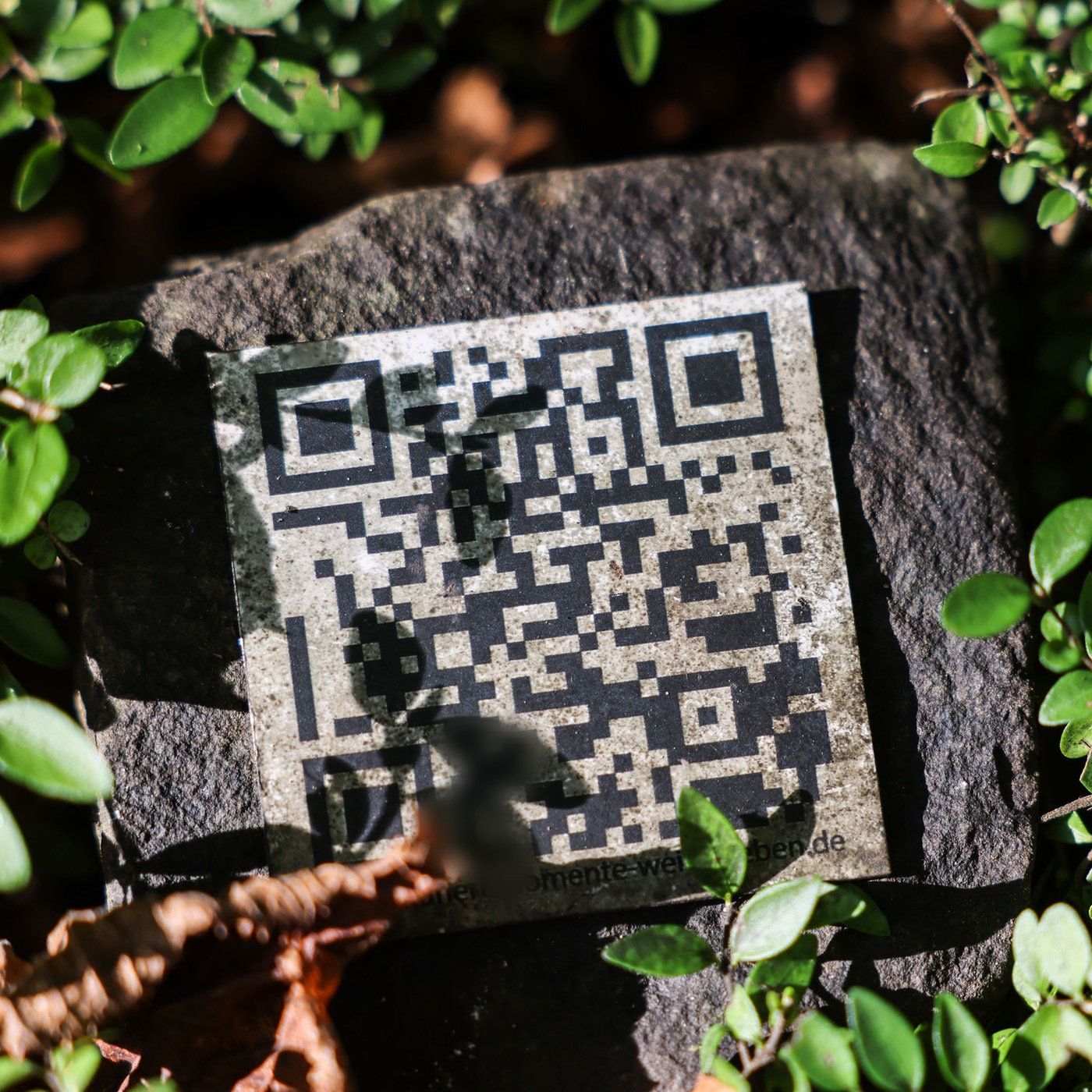 Digitalisierung auf dem Friedhof: Opa ist jetzt in der Cloud