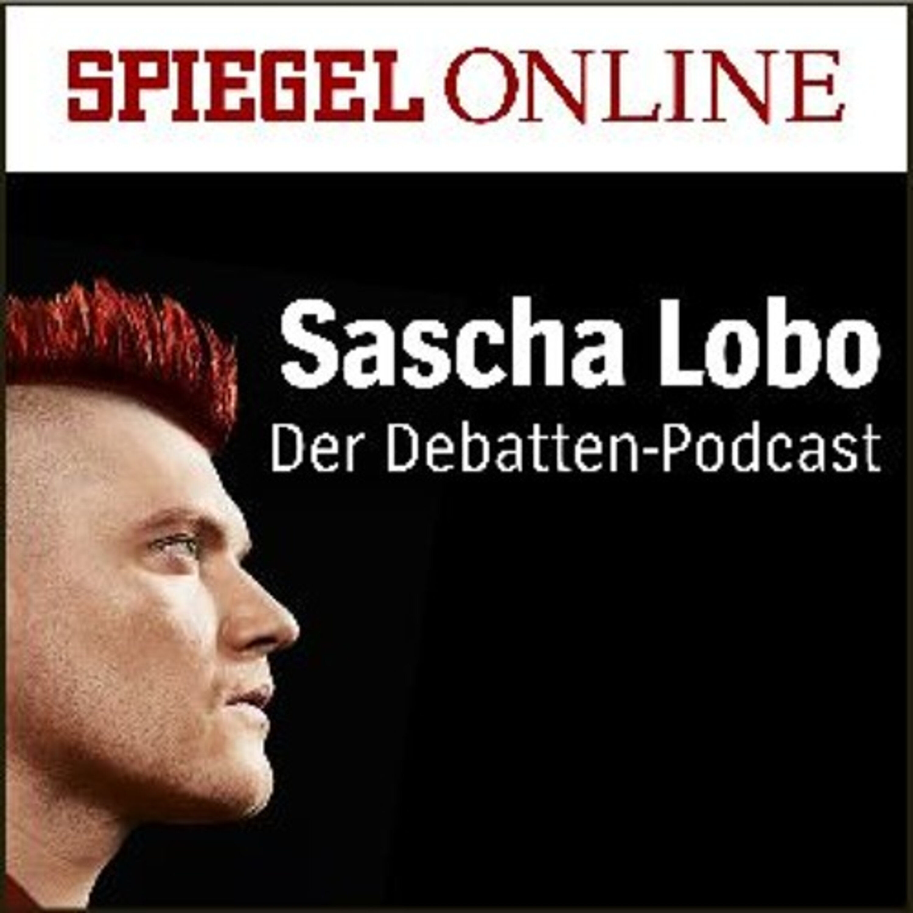 Digitalpolitik der GroKo – Marathon im Fettnapf