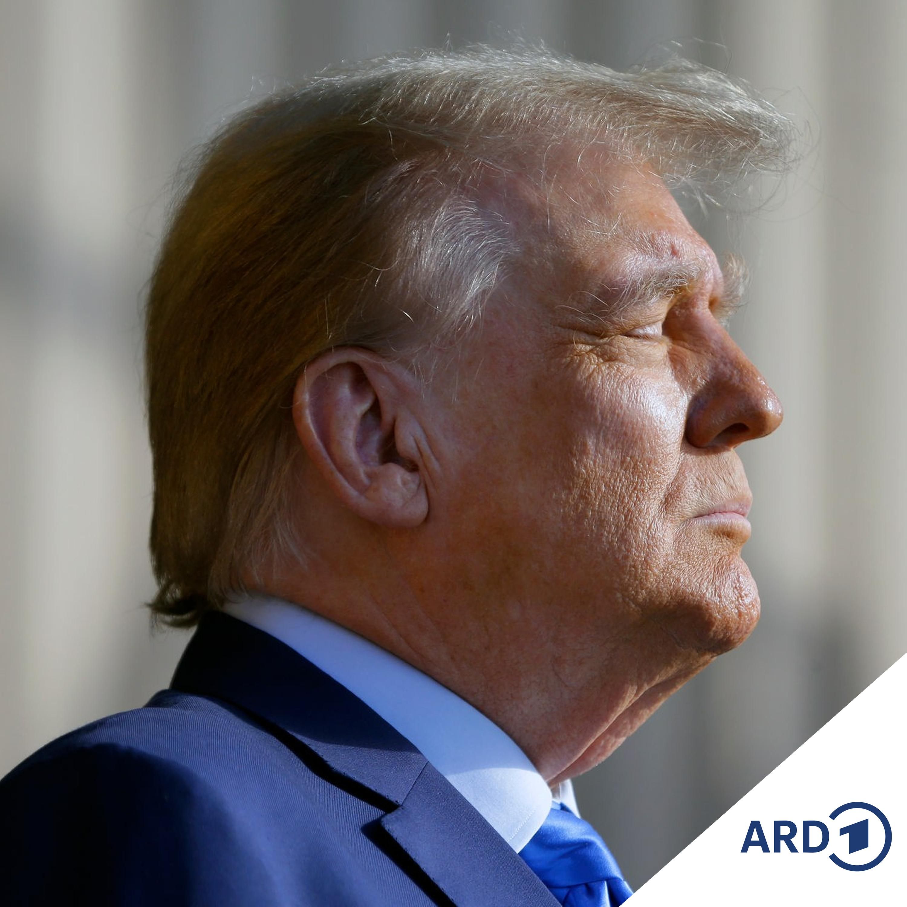 Diktator für einen Tag