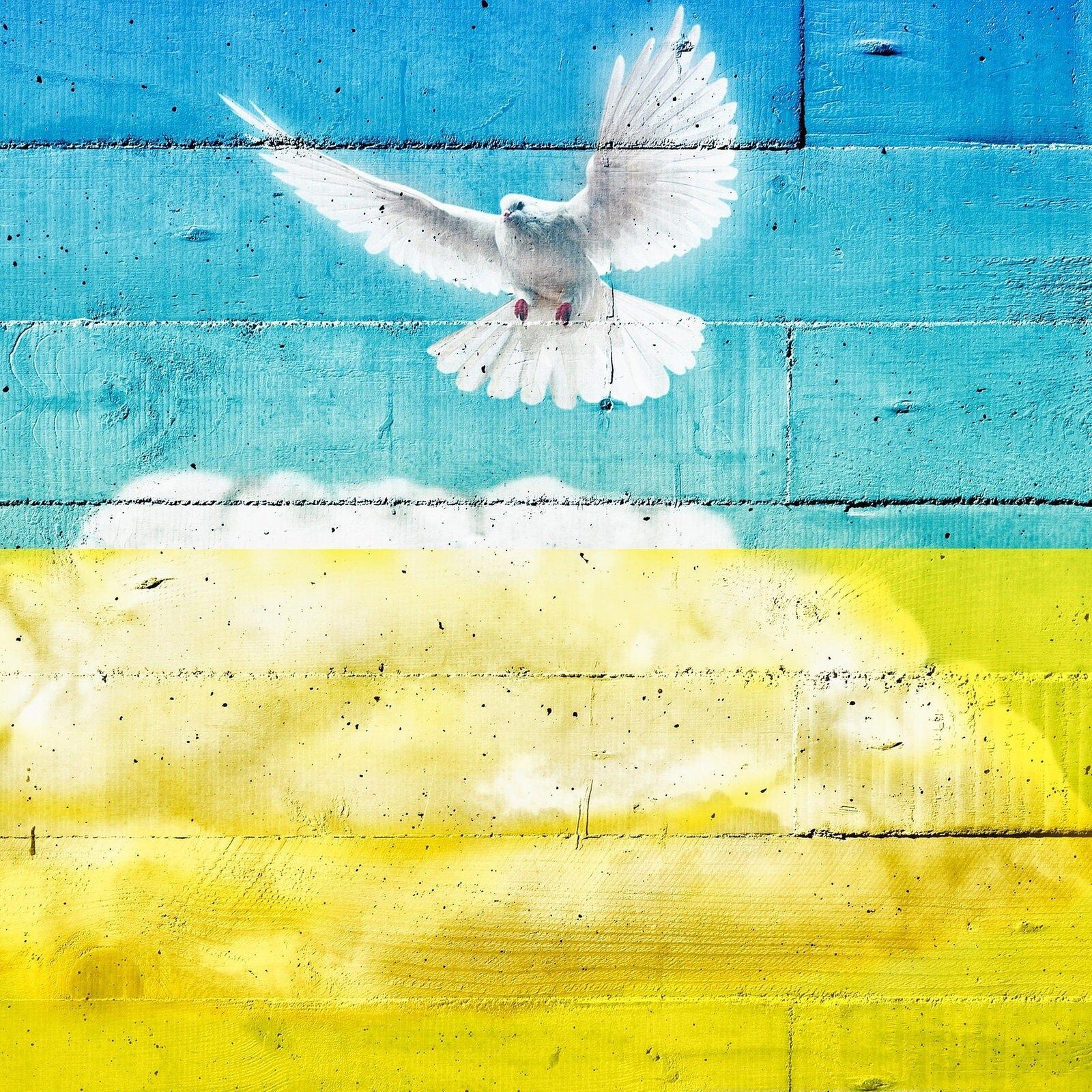 Gaza-Friedensplan als Vorbild für die Ukraine?