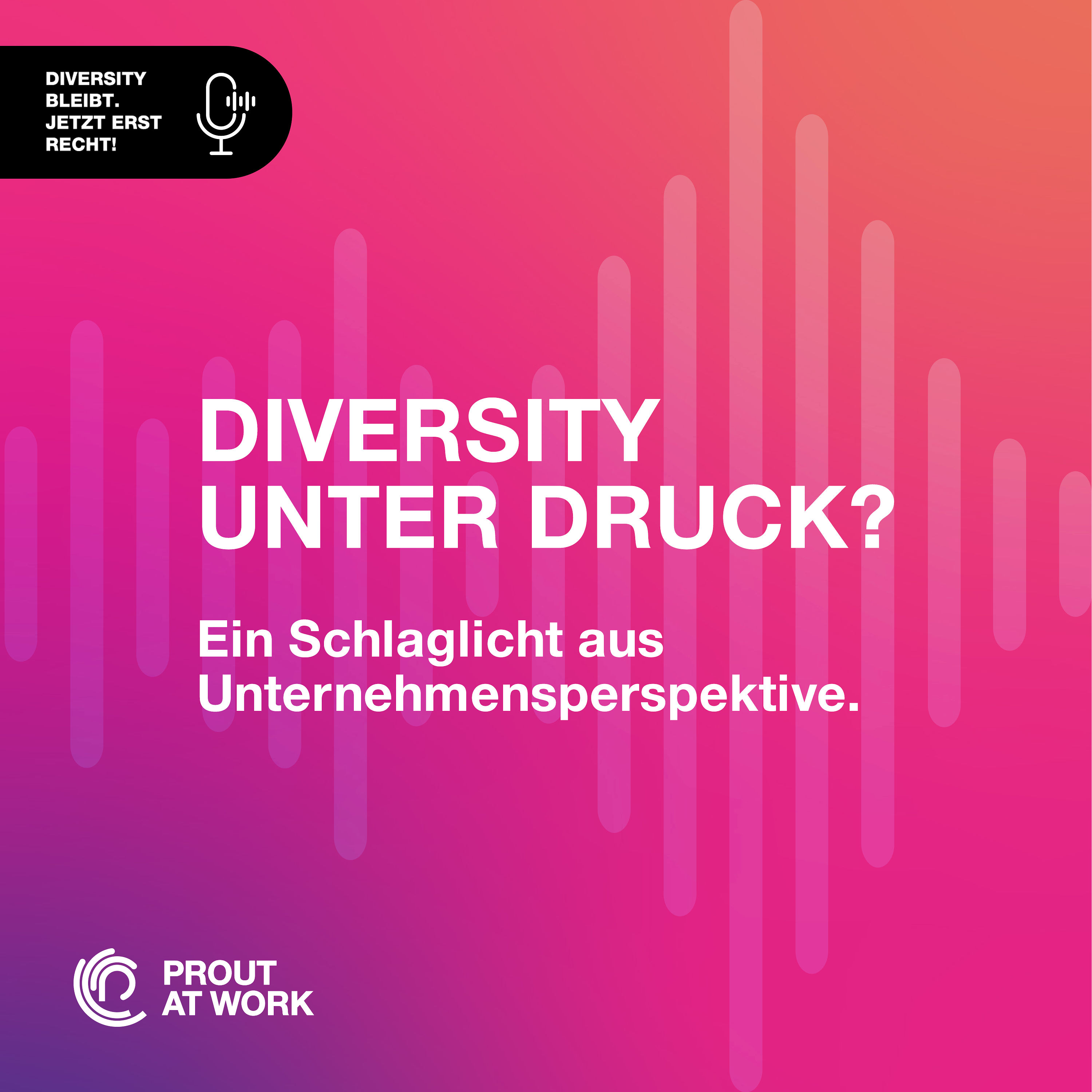 Diversity unter Druck? Ein Schlaglicht aus Unternehmensperspektive.
