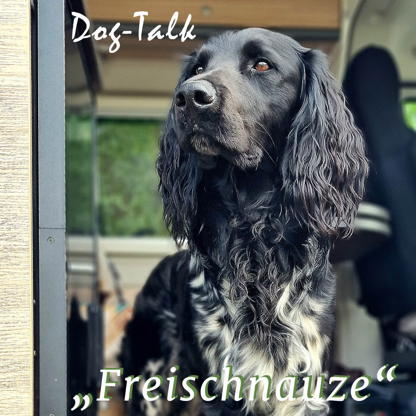 Dog-Talk: Episode 01 - Coaches unter sich