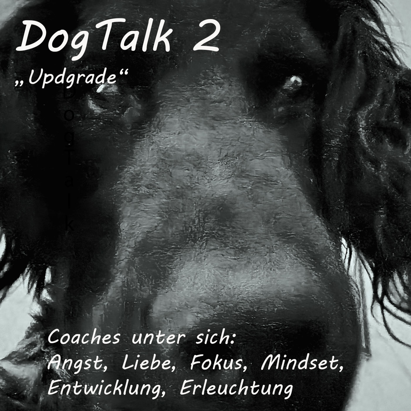 Dog-Talk: Episode 02 - Coaches unter sich