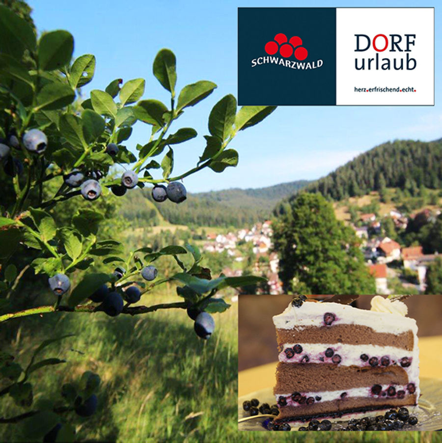Dorfurlaub in Enzklösterle