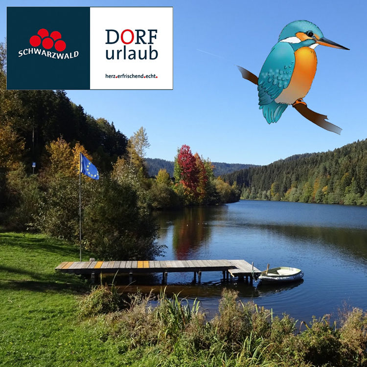 Dorfurlaub in Seewald