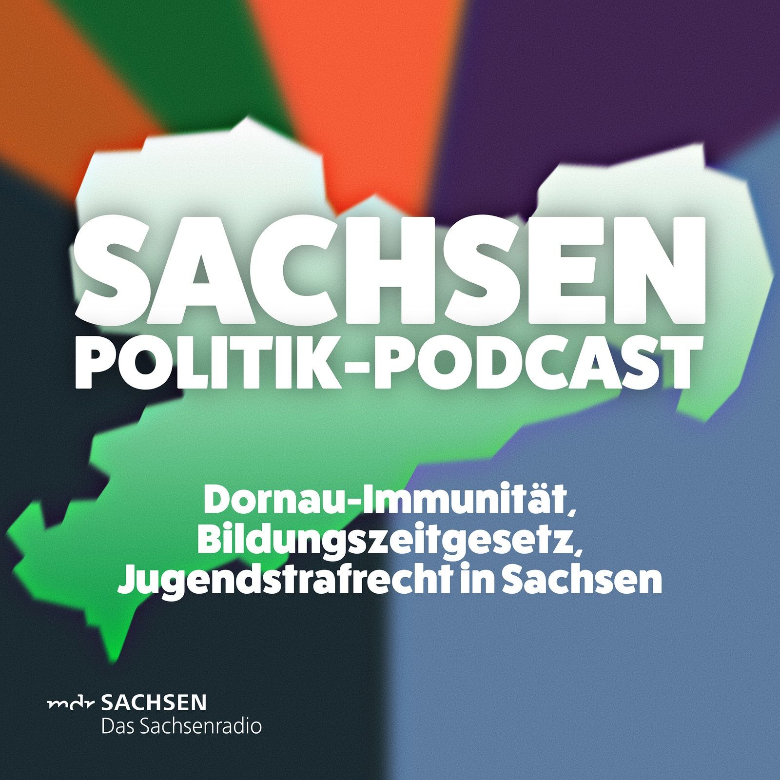 Dornau-Immunität, Bildungszeitgesetz, Jugendstrafrecht in Sachsen