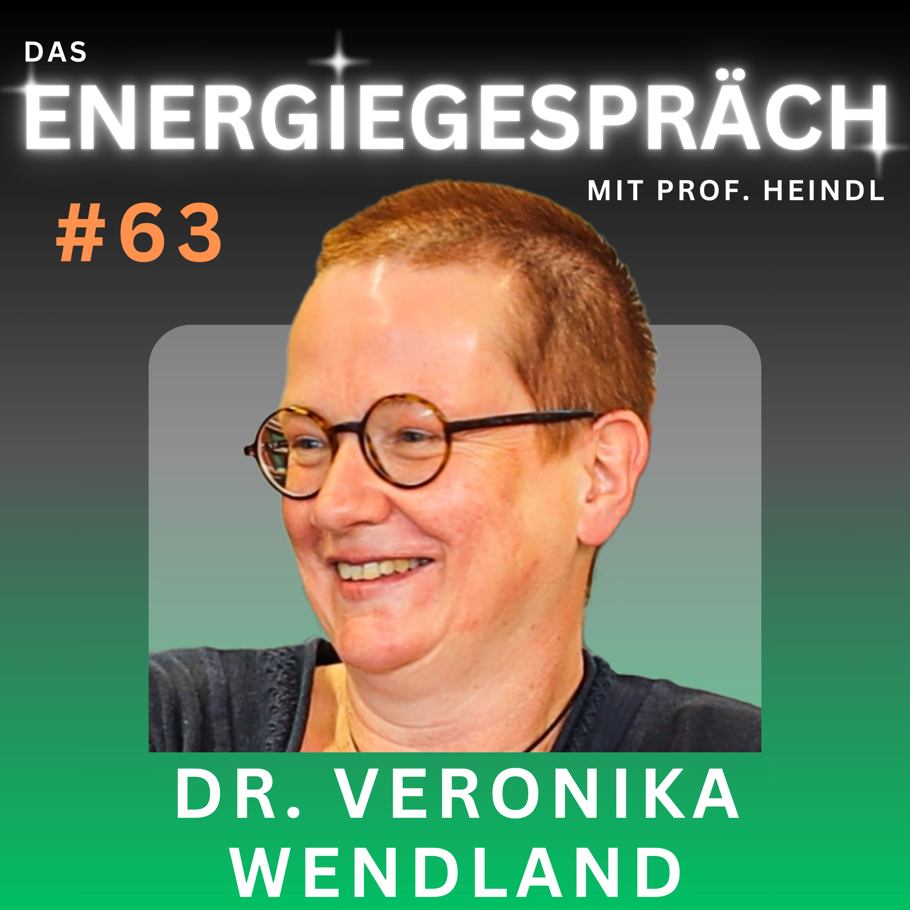 Dr. Anna Veronika Wendland: Kernenergie, Tschernobyl, Atommüll | Eduard Heindl Energiegespräch #063
