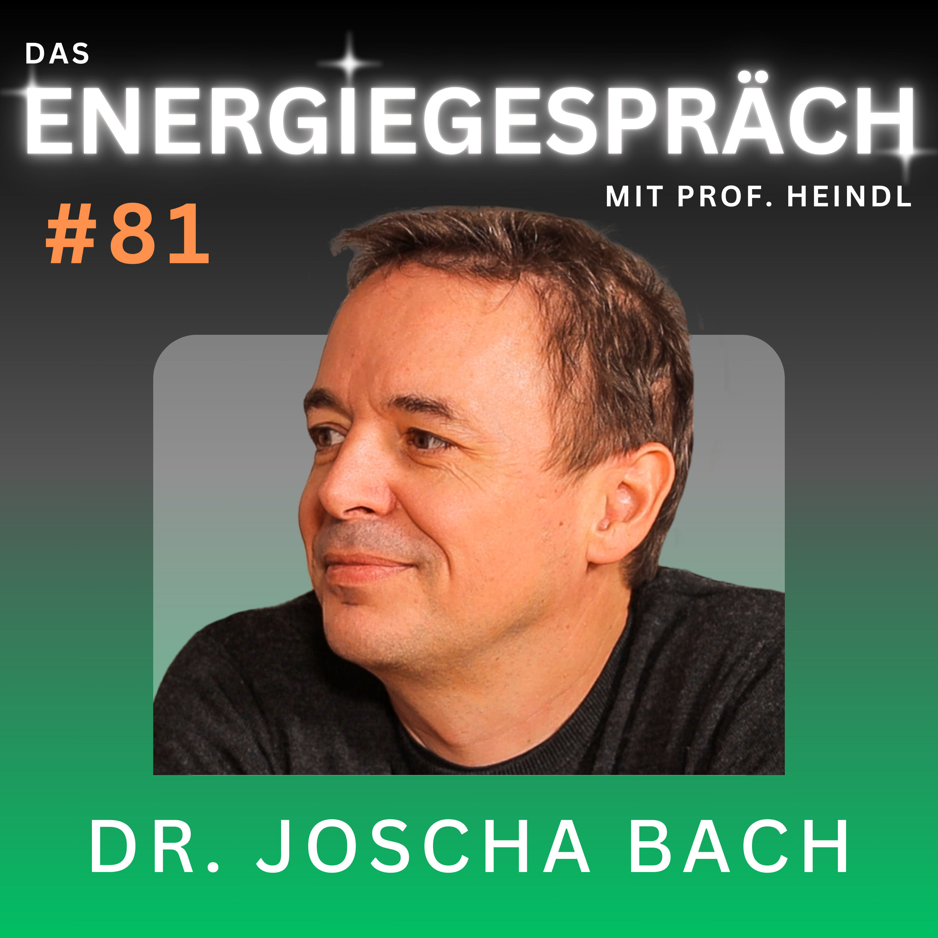 Dr. Joscha Bach: KI, Gehirn, Intelligenz, Bewußtsein, Universum | Eduard Heindl Energiegespräch #081
