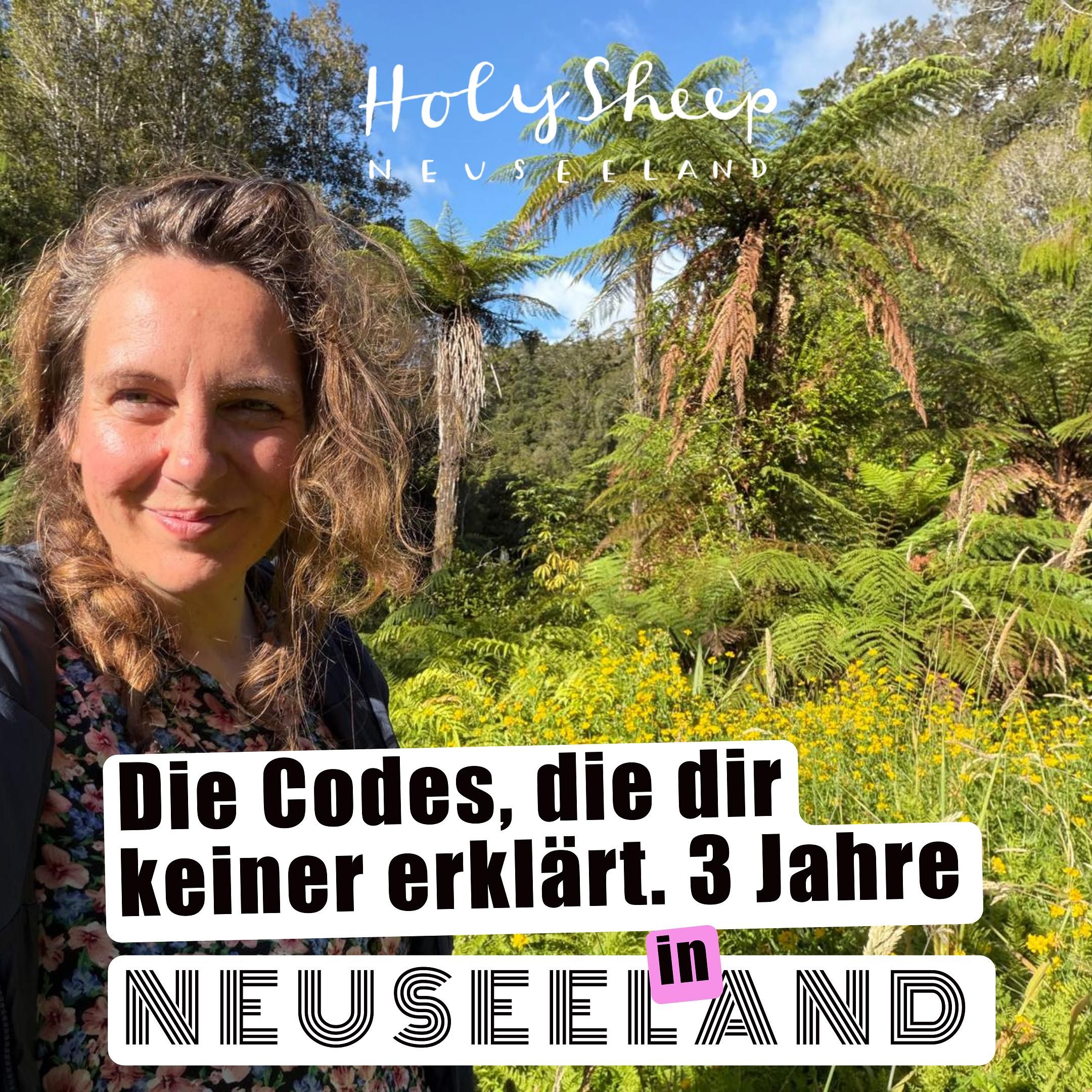 Drei Jahre Neuseeland: Die Codes, die dir keiner erklärt