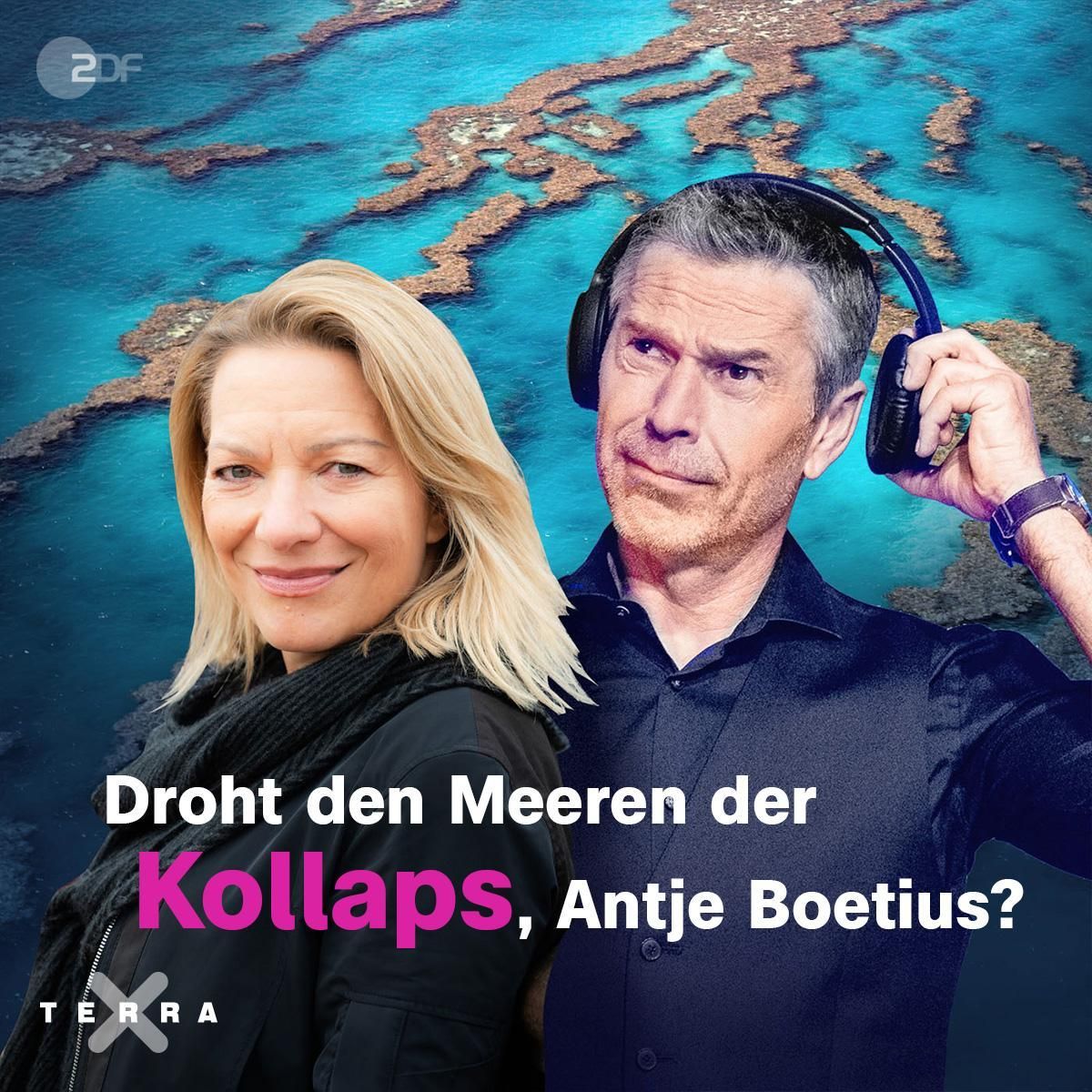 "Droht den Meeren der Kollaps, Antje Boetius?"