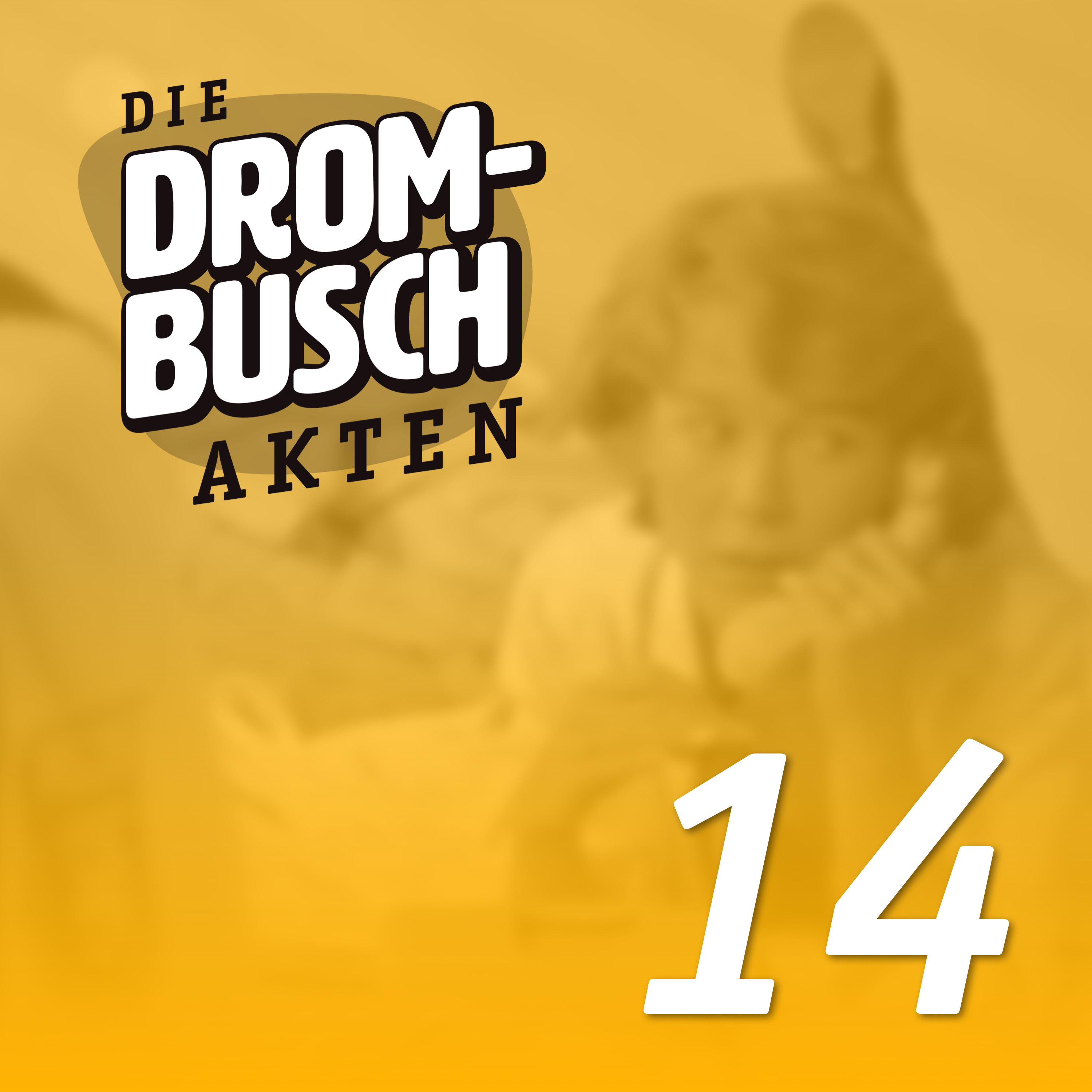 DROM014: Die Zeit danach