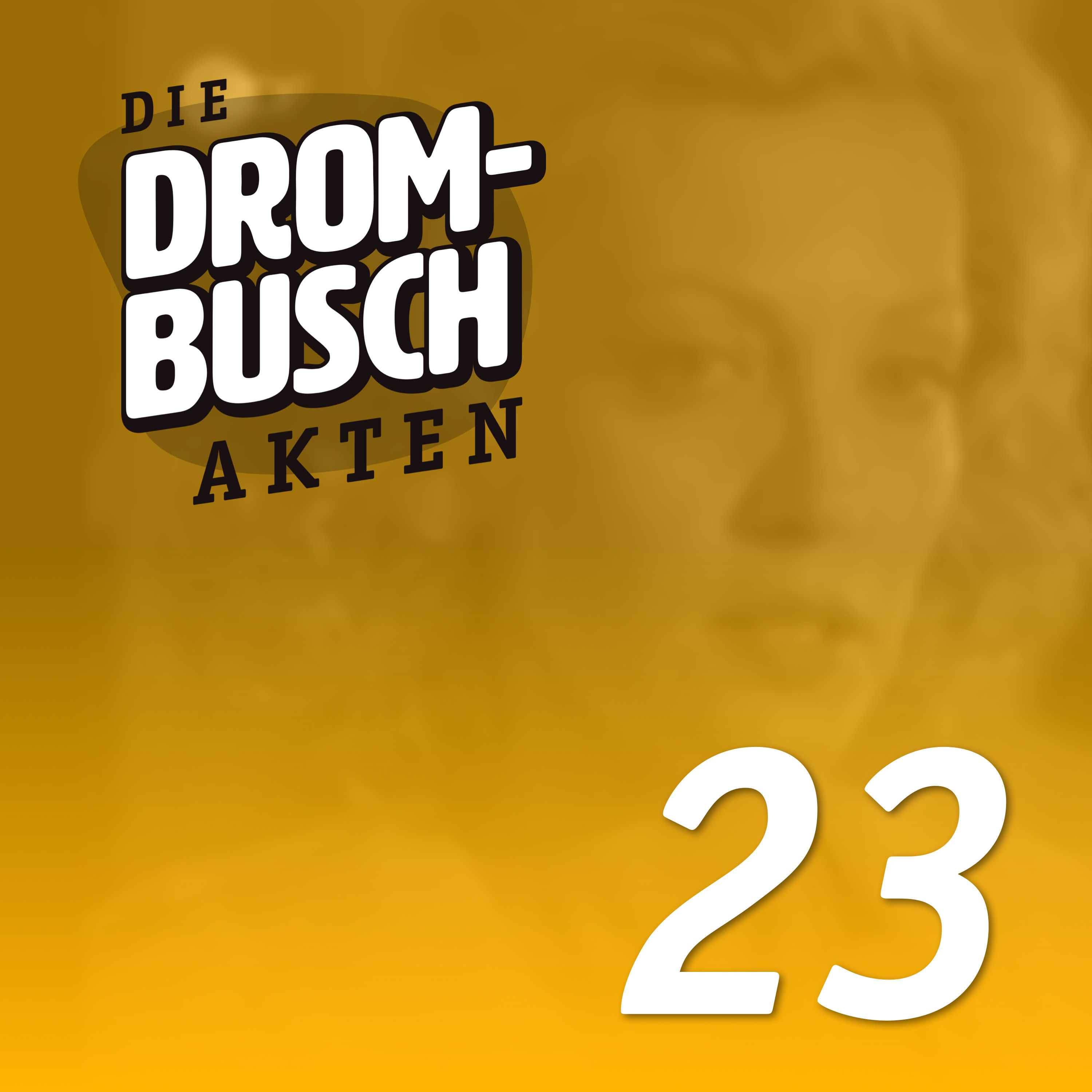 DROM023: Späte Einsicht