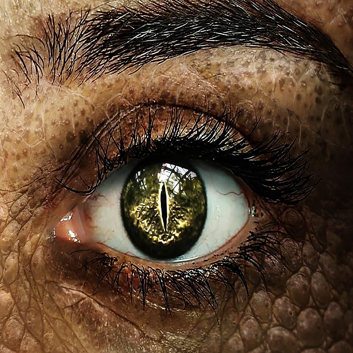 [DSA Hörspiel] Im Auge des Drachen 06 - Piraten