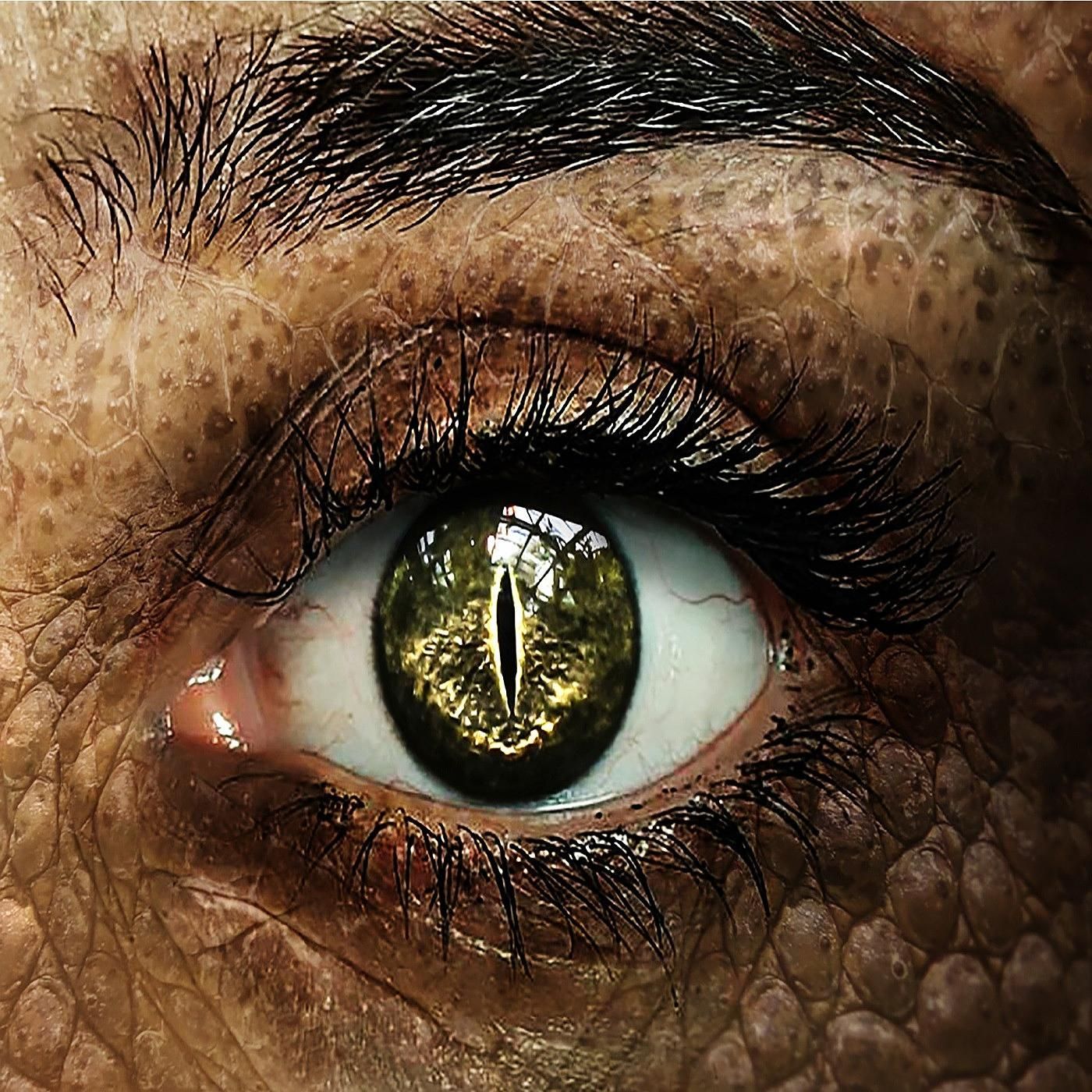 DSA Hörspiel: Im Auge des Drachen 08 - Über Board