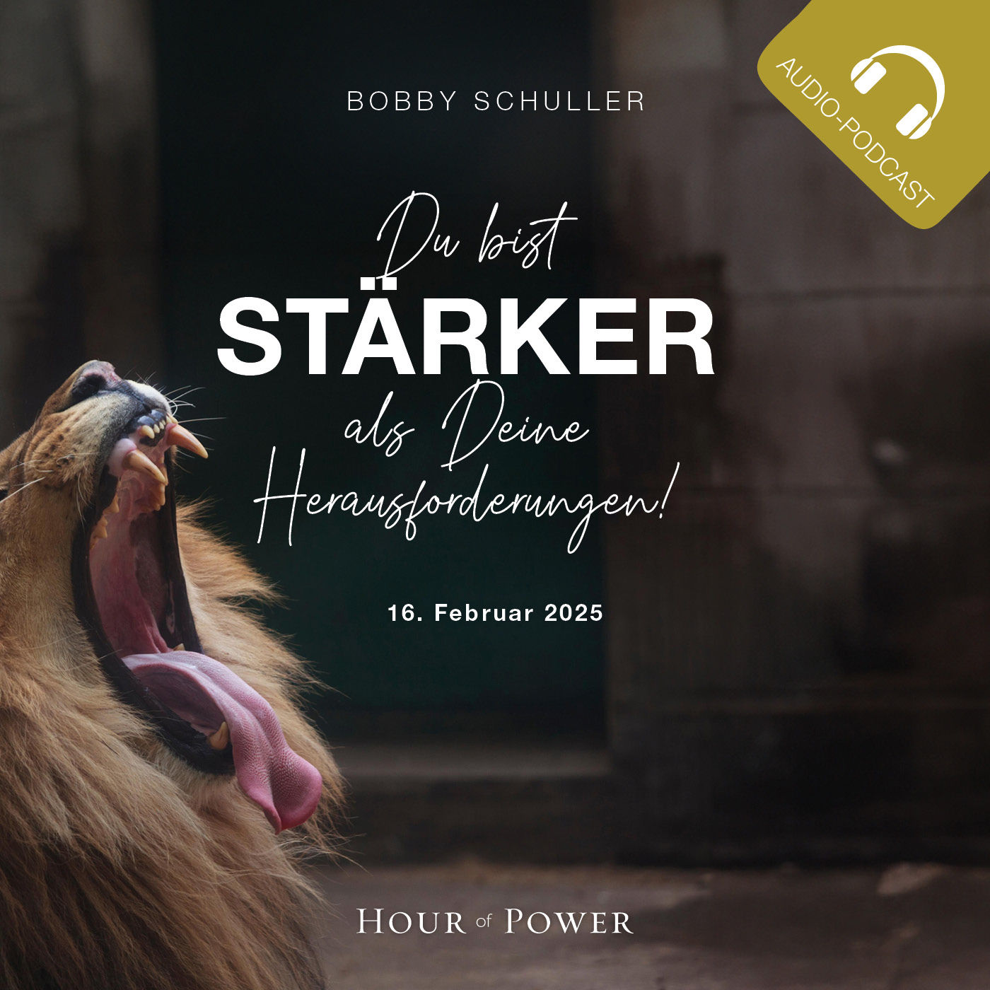 Du bist stärker als Deine Herausforderungen! - Predigt von Bobby Schuller