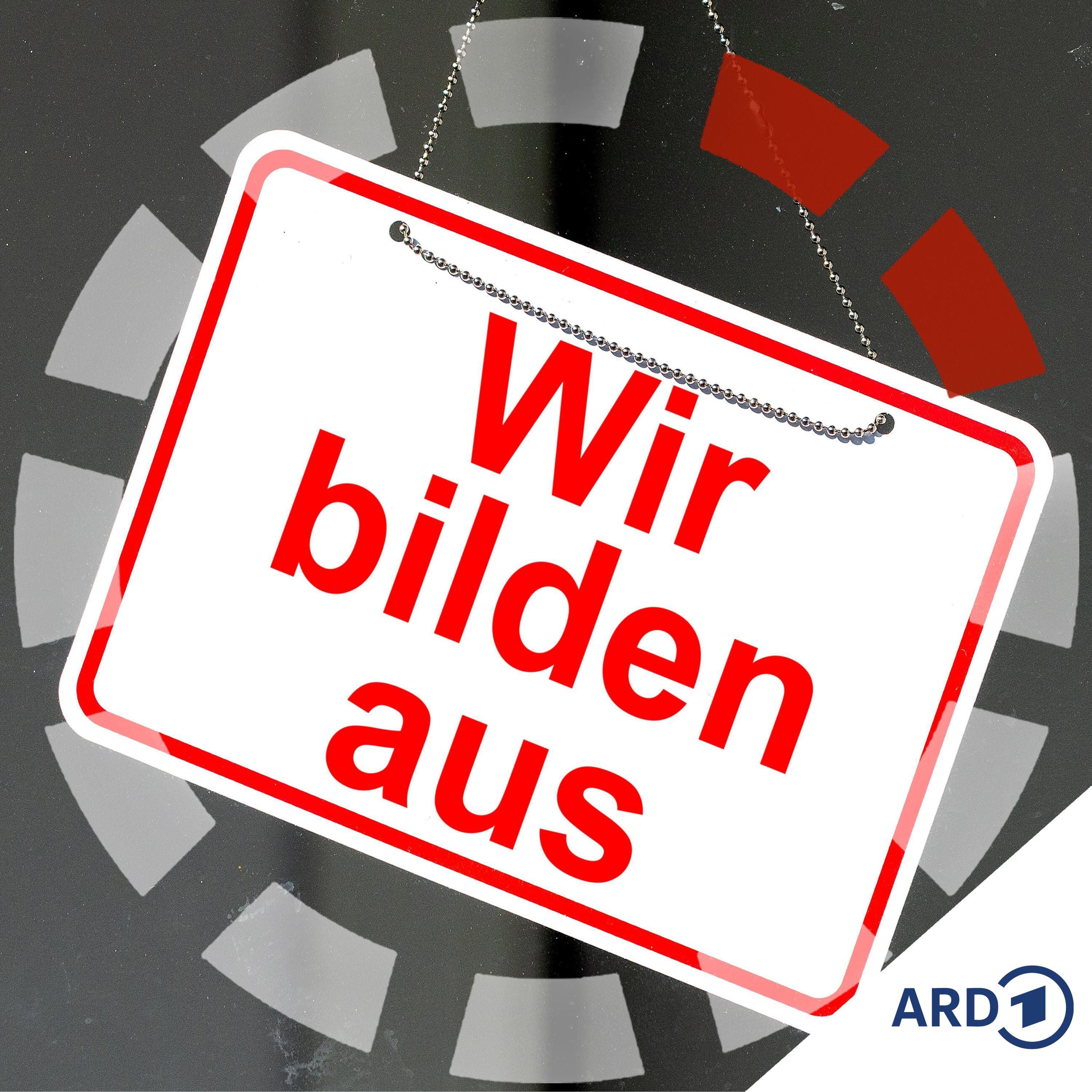 Dübeln statt grübeln - lieber Lehre statt Uni?