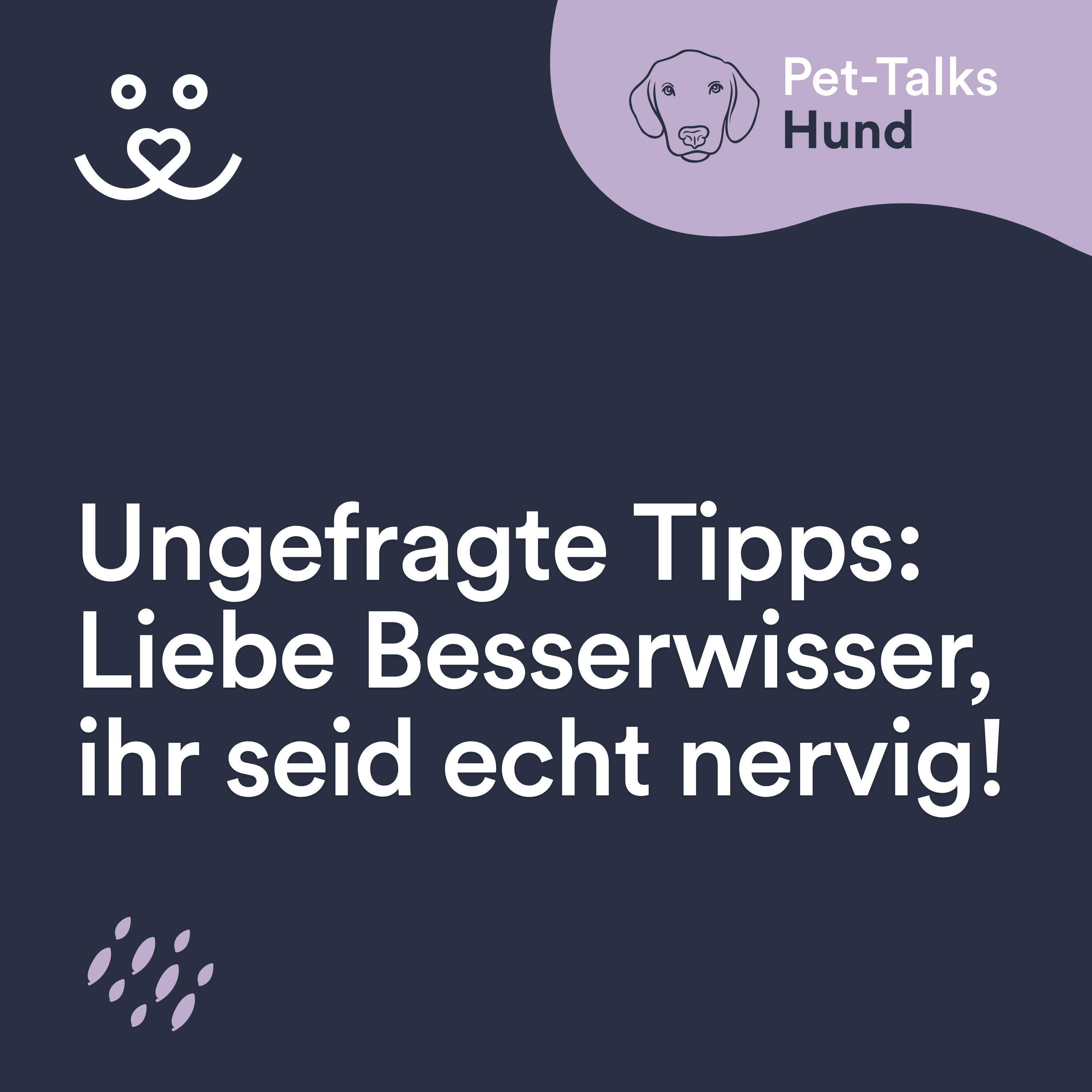 Dumme Sprüche: Liebe Besserwisser, ihr nervt!
