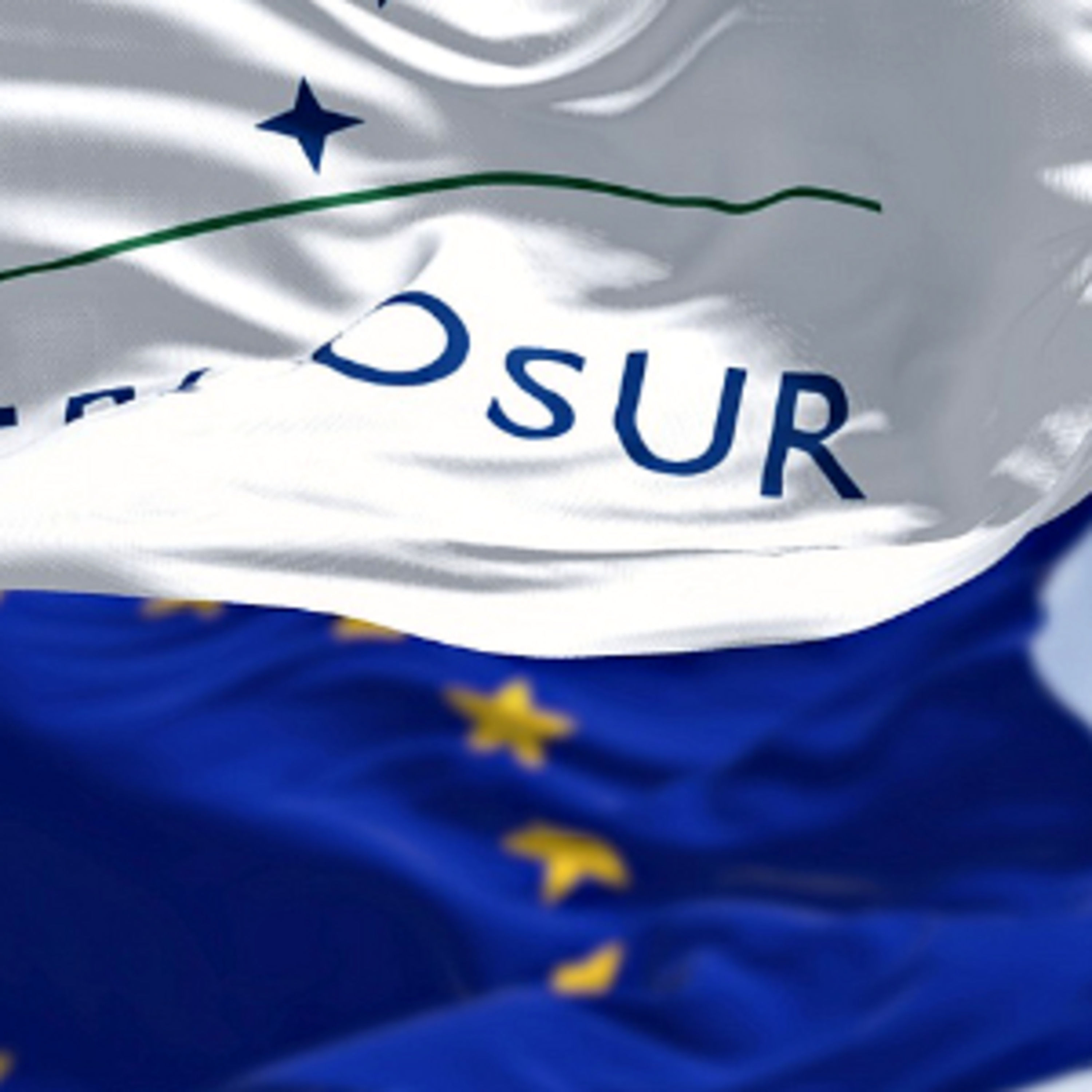 Dummheit, Instinktlosigkeit und das links-grüne Foulspiel rechts der Brandmauer