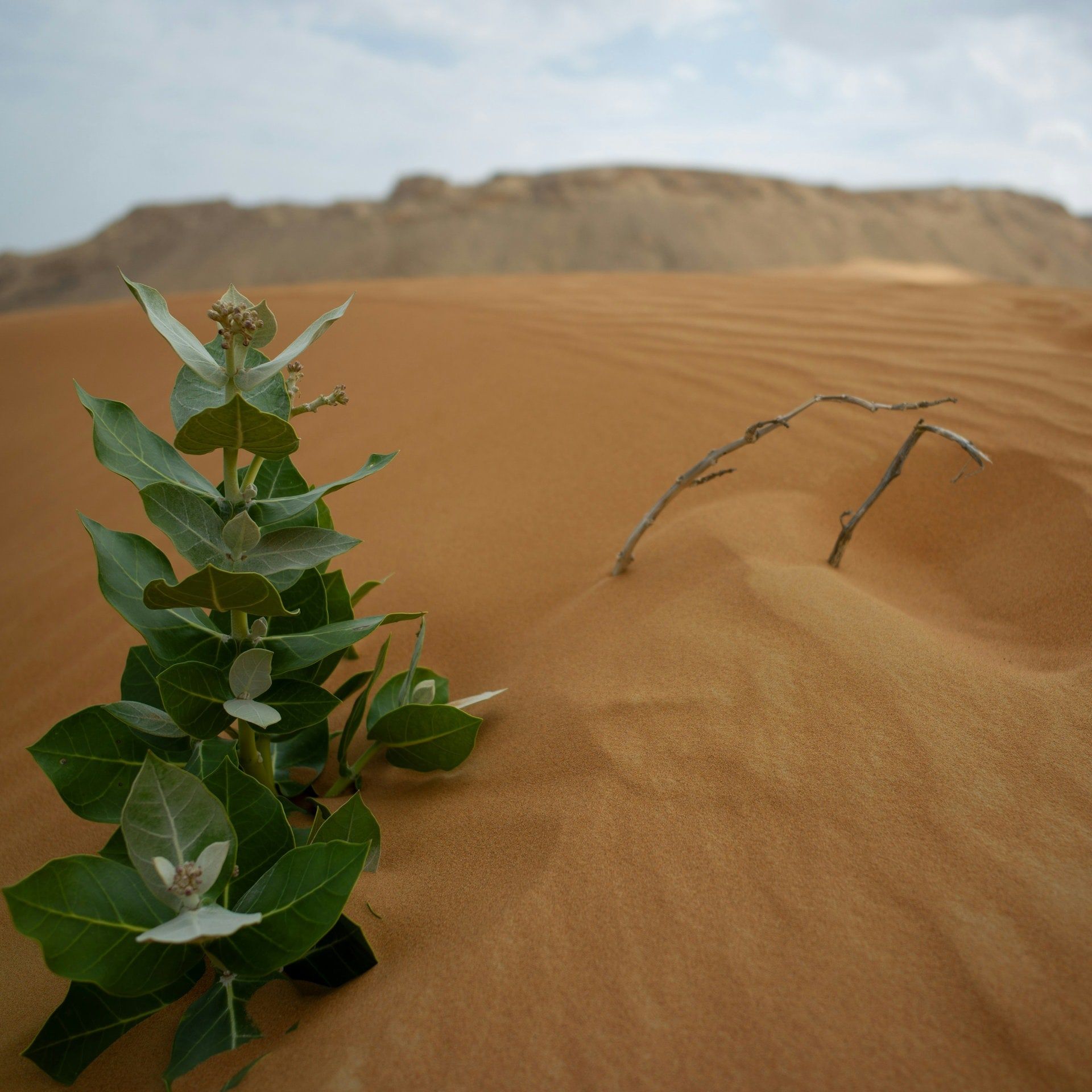 Durchhalten – Eine Beschwörung