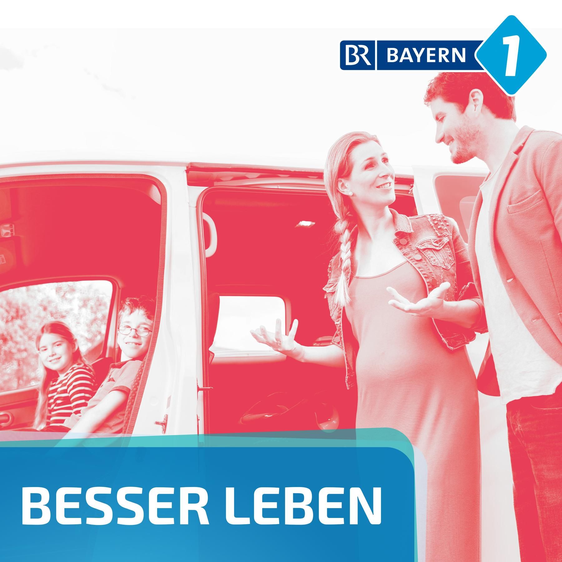 e-Vans: Lohnt sich für mich ein Elektro-Van?