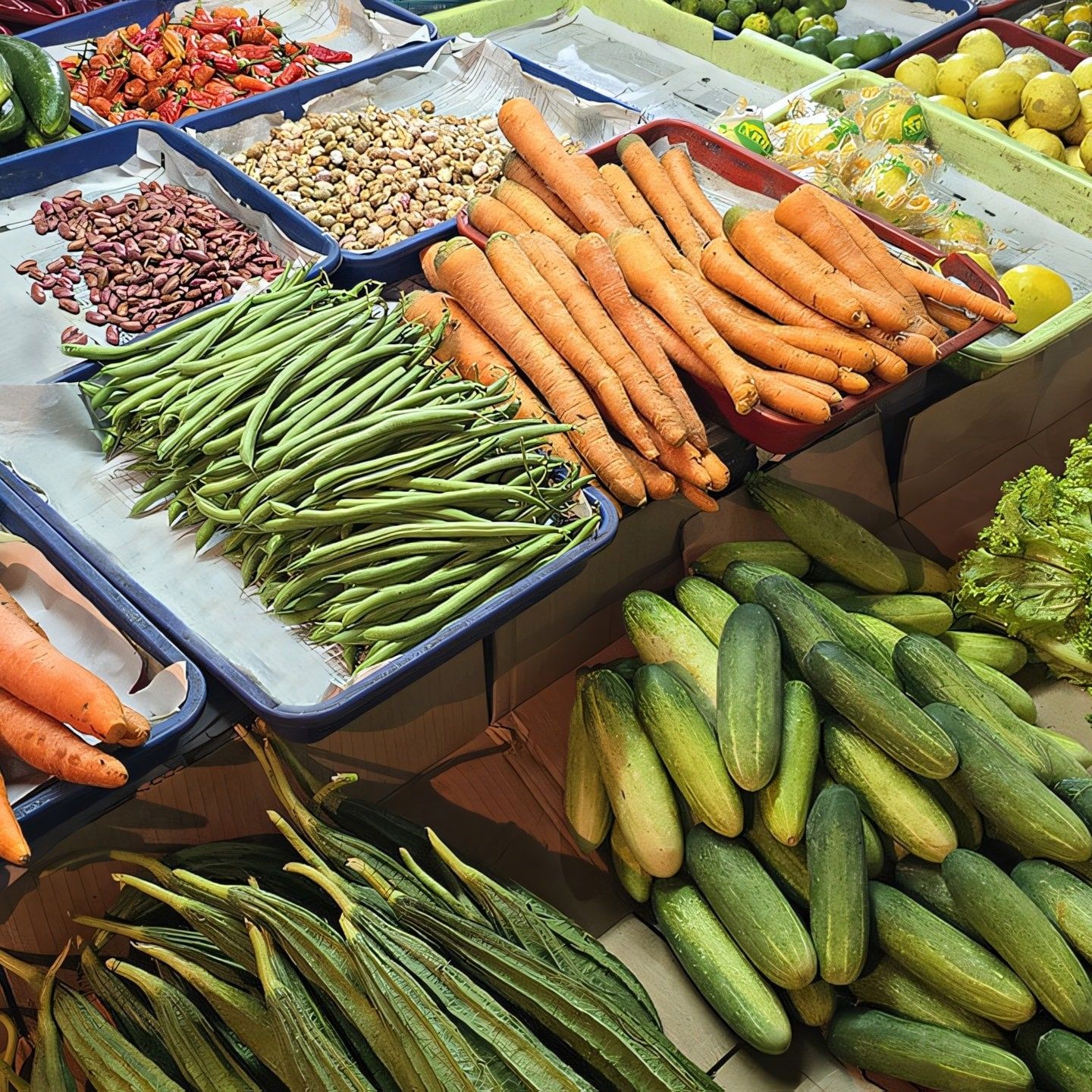 EAT-Lancet-Report: Ernährung sprengt planetare Grenzen und schadet dem Klima