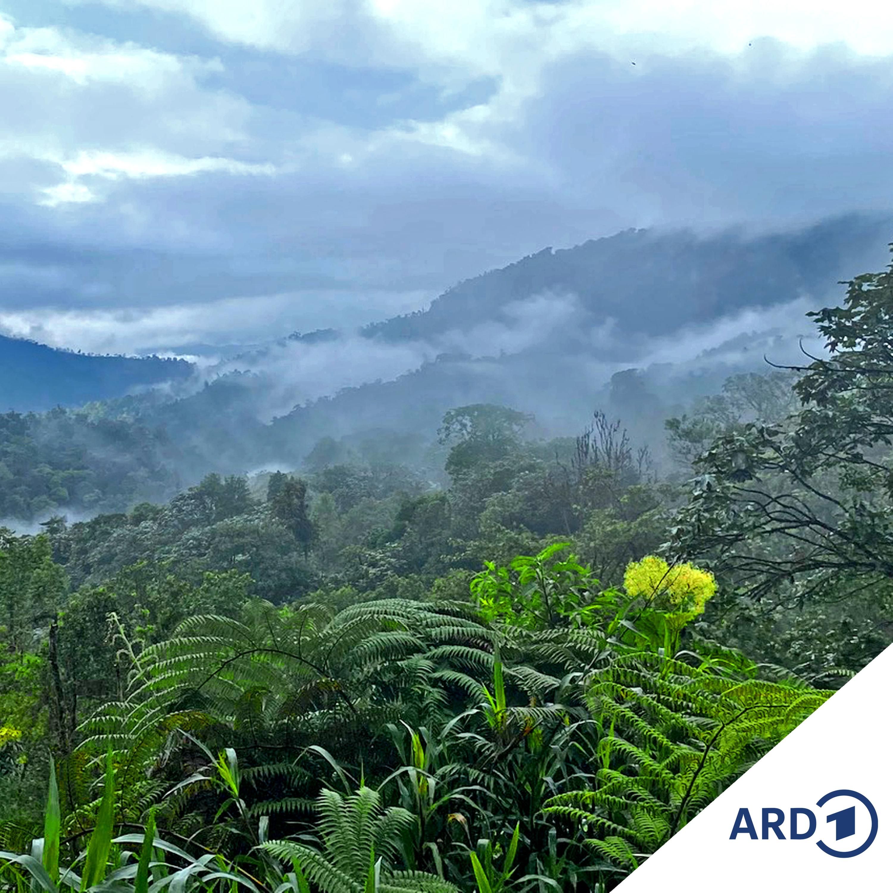 Ecuador - Wo die Natur klagen kann