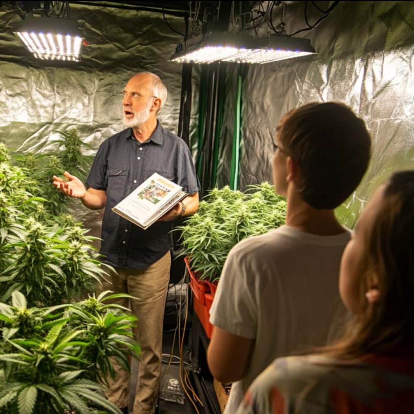 Ed Rosenthal | Weed Legenden #4 | Indoor Grow | Anbau | Wissen