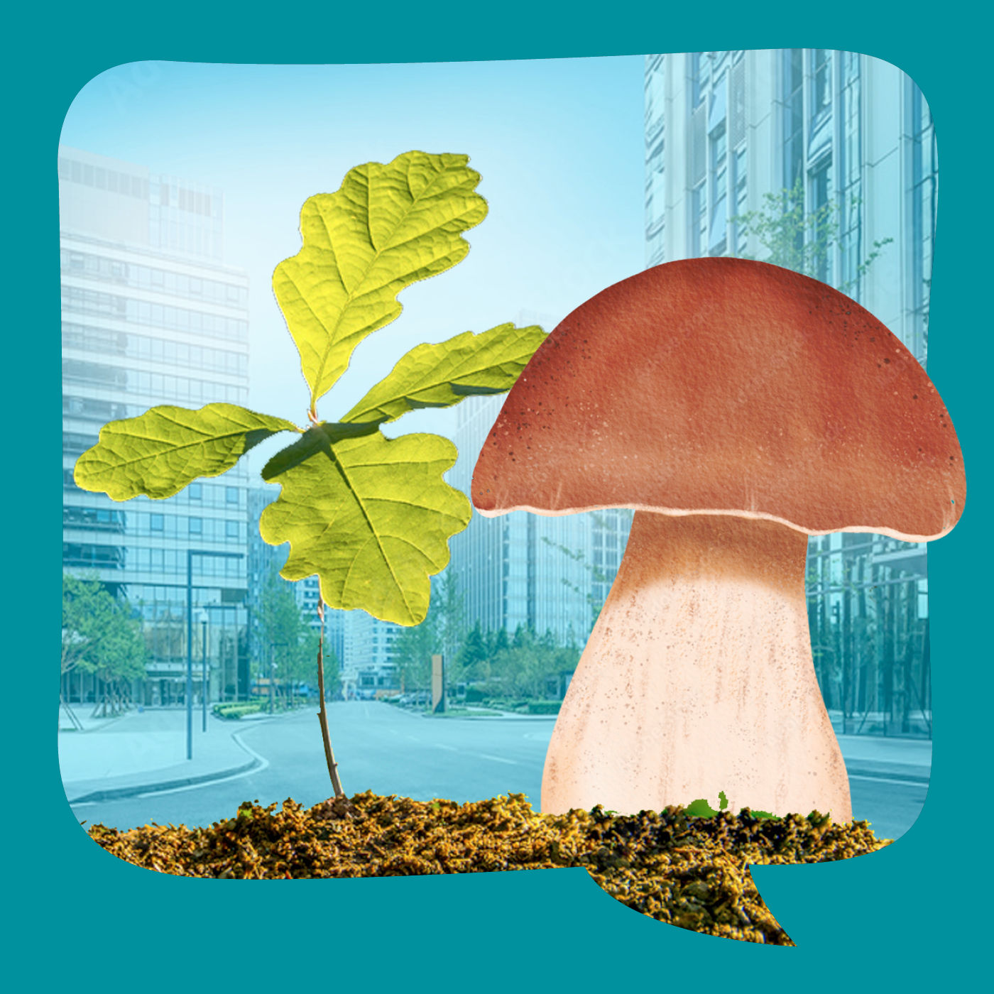 Eiche und Steinpilz | Überlieferung aus Litauen | erzählt von Julia Klein