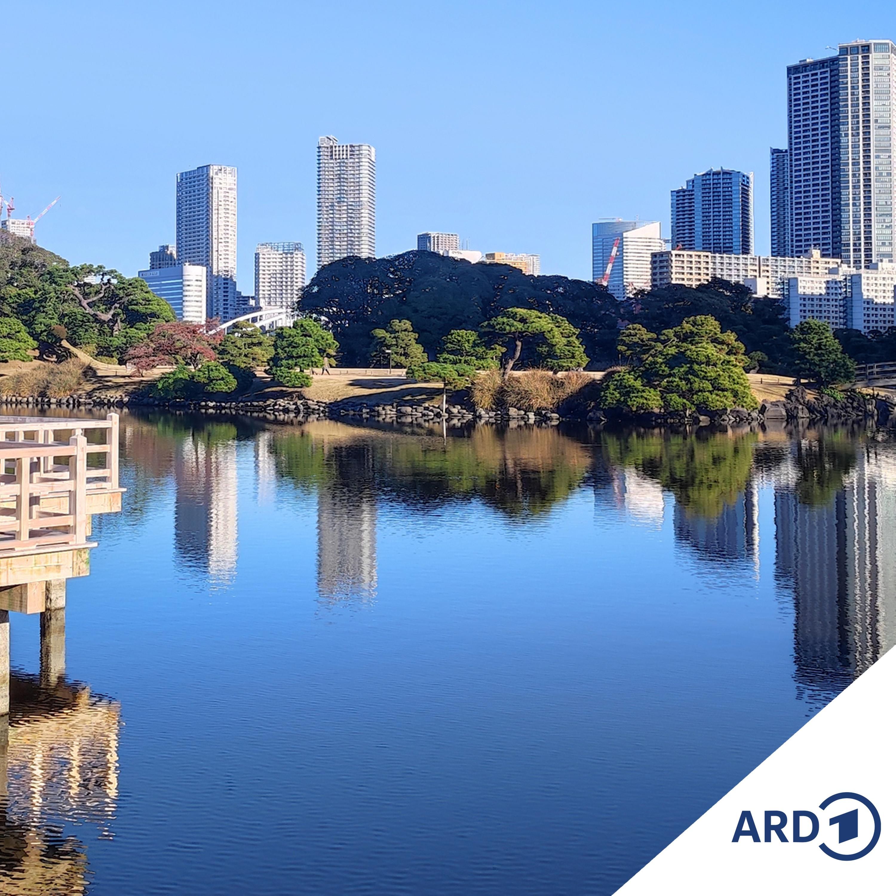 Ein Blick nach Japan - Tokio und Okinawa