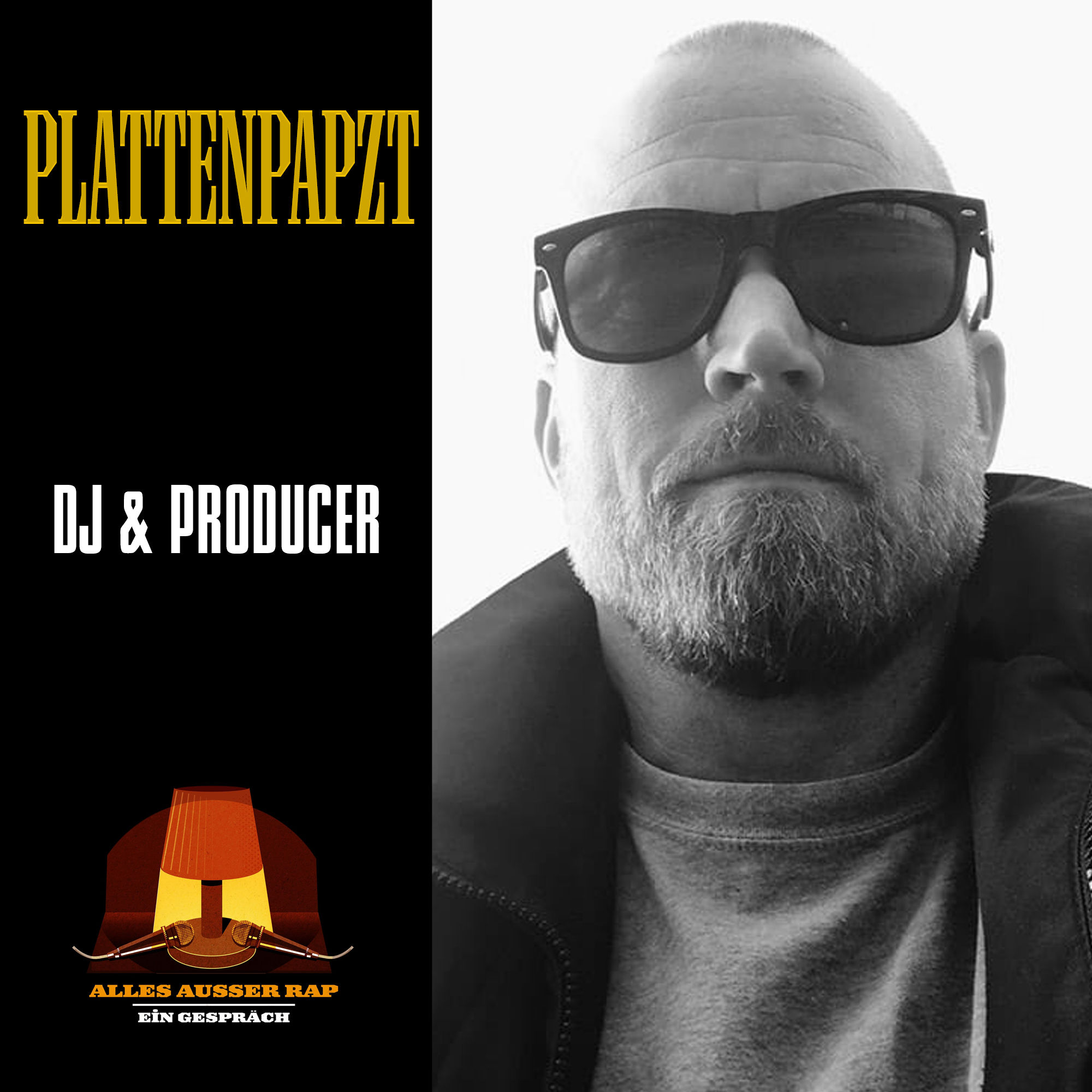 Ein Gespräch mit Plattenpapzt