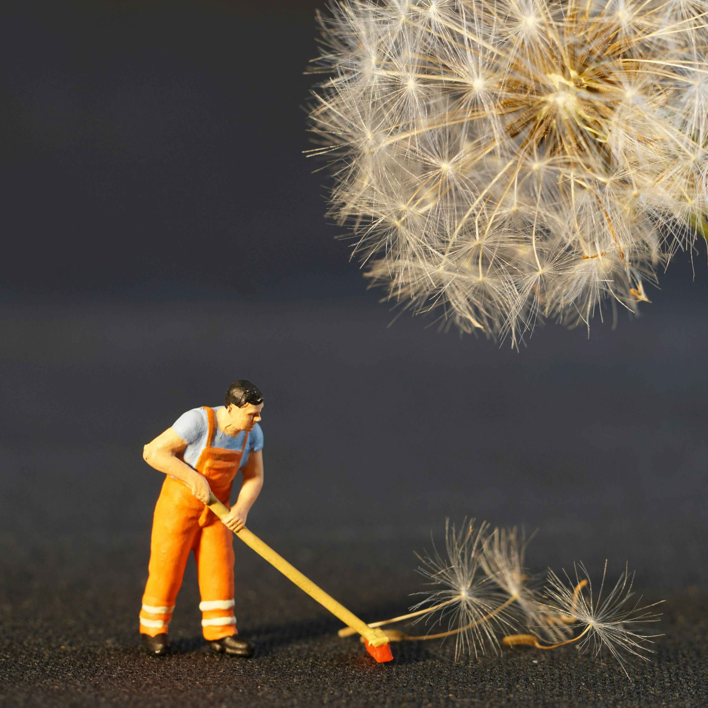 Ein Jahr Pflicht – warum eigentlich nicht?
