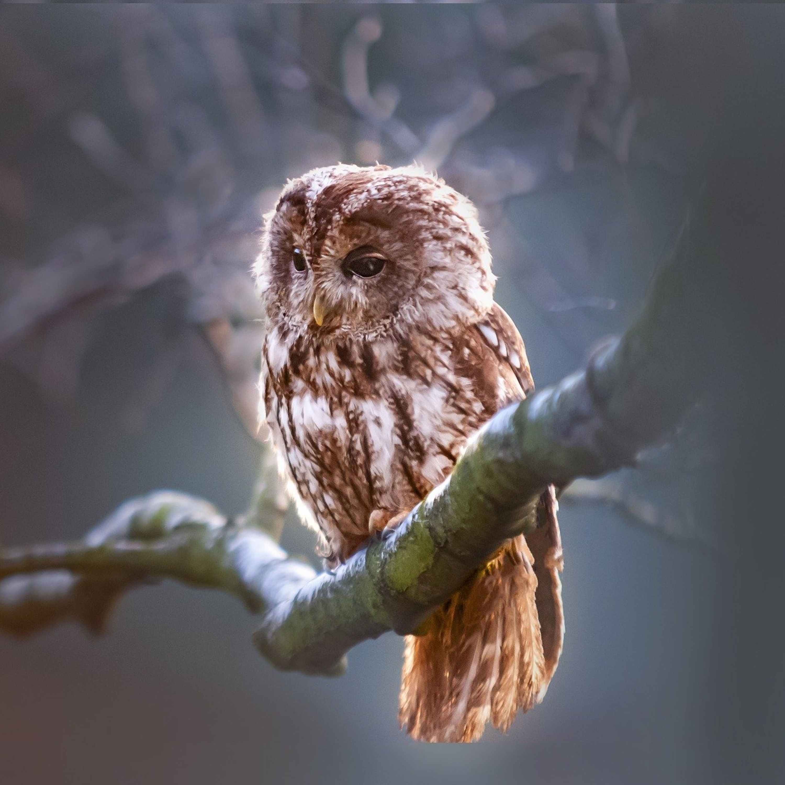 Ein Junge namens Mut