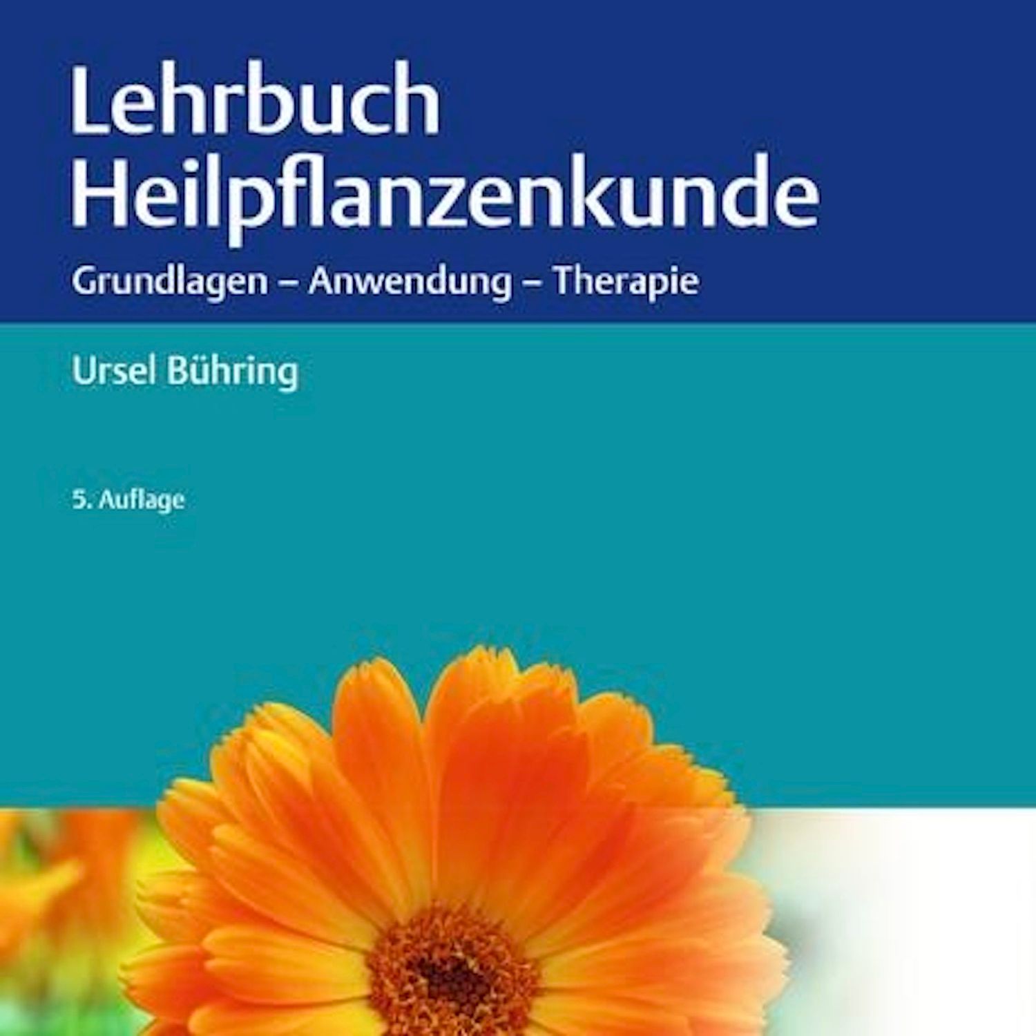 Ein Leben für die Heilpflanzen: Gespräch mit Ursel Bühring, Teil 2