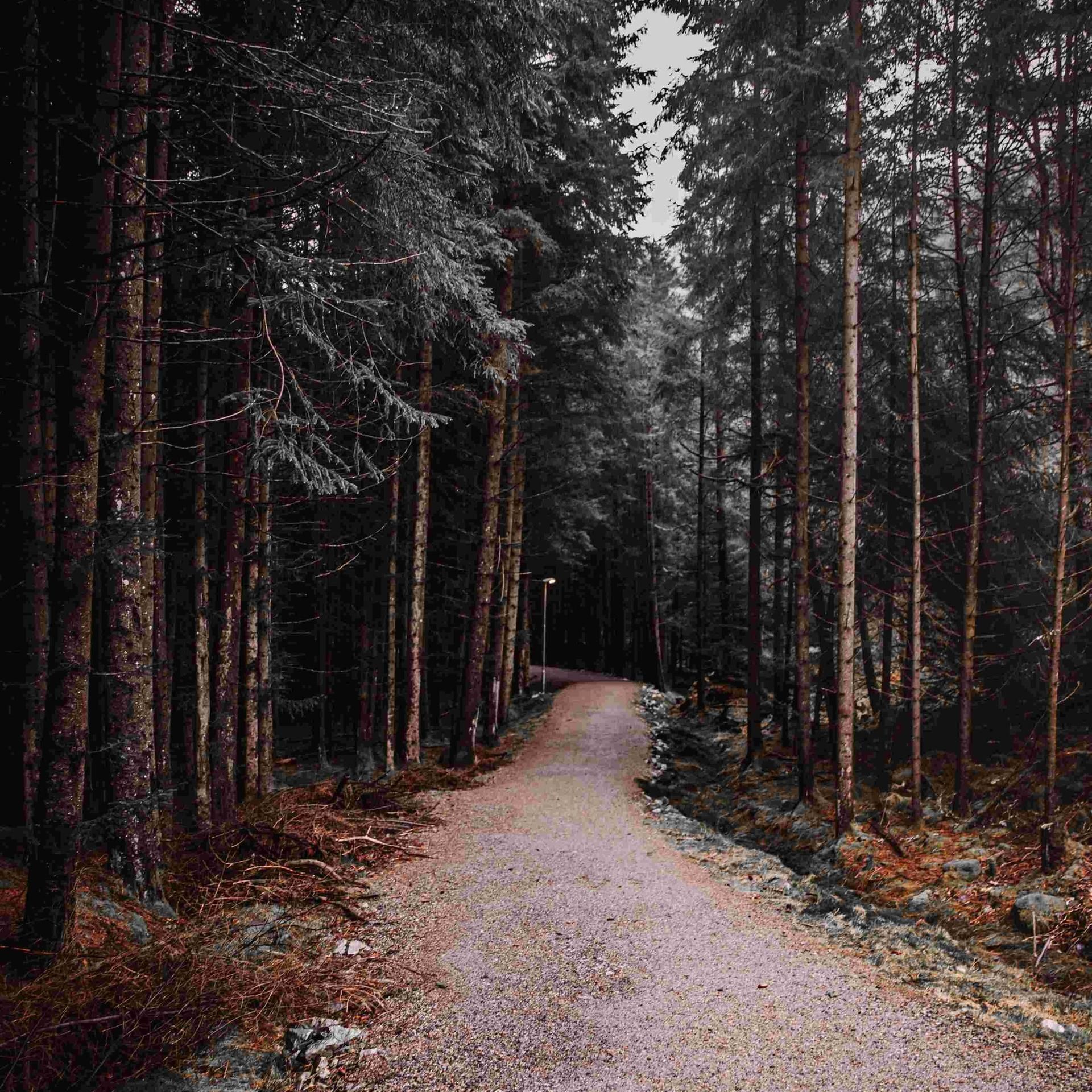 „Ein Morgen wie jeder andere“ - Ein Tierarzt sucht die Wahrheit