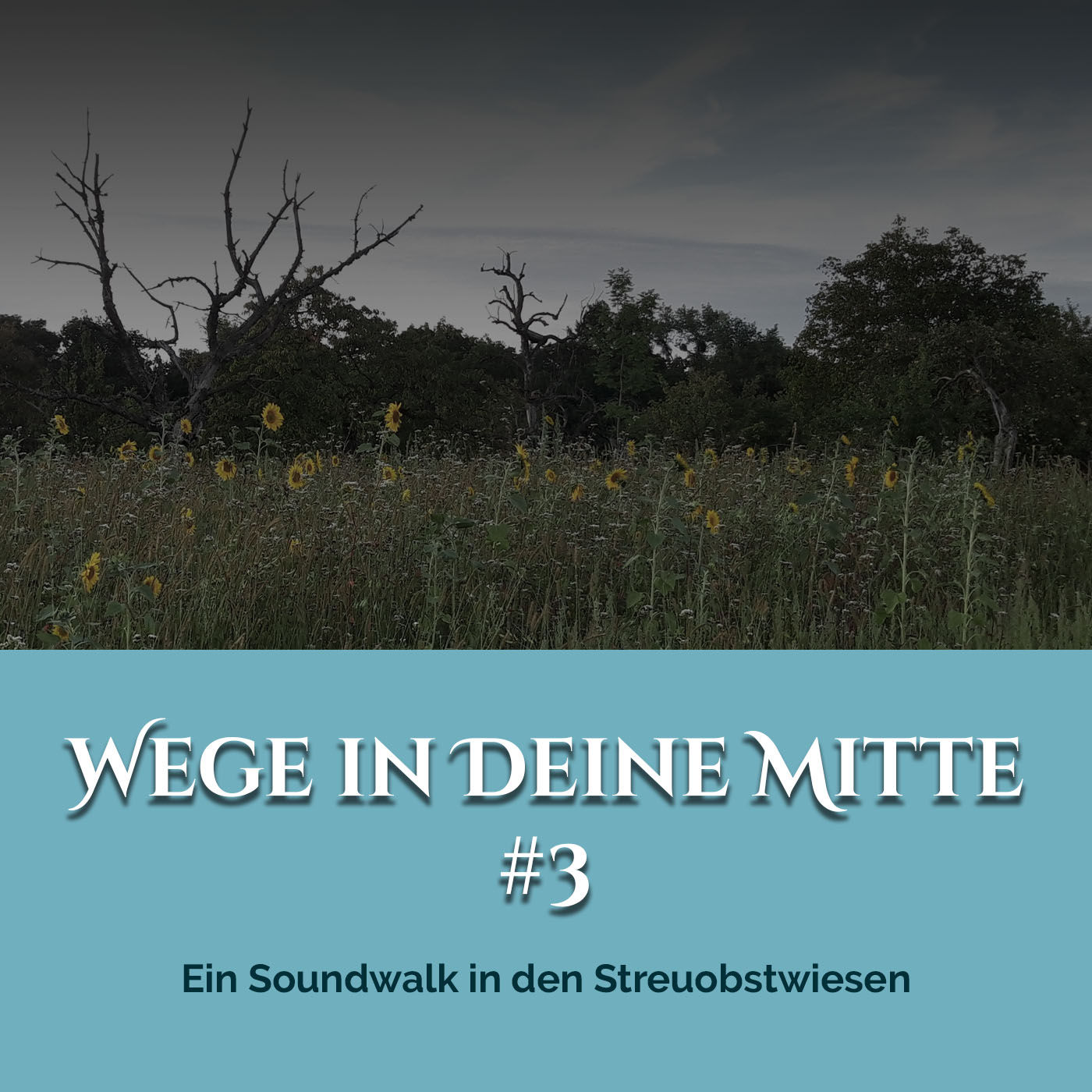 Ein Soundwalk in den Streuobstwiesen (Episode 3)