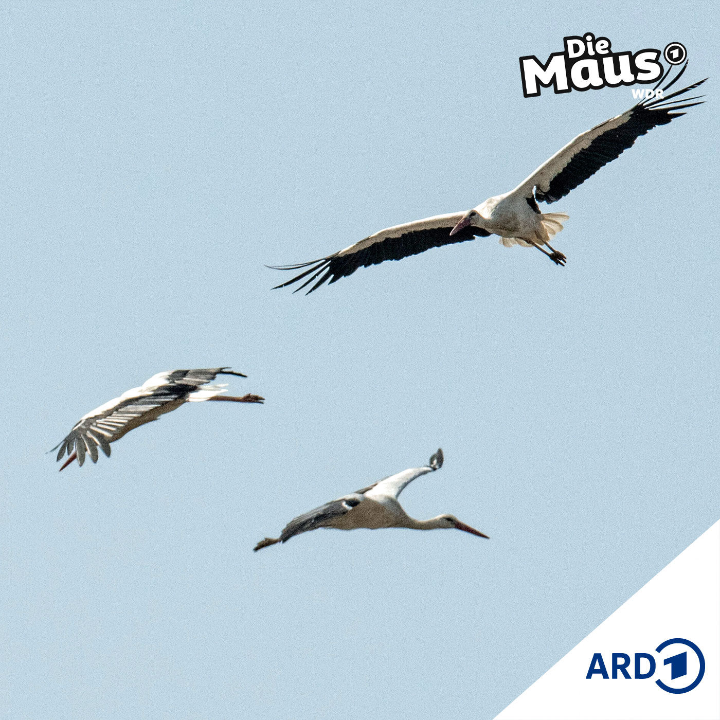 Eine lange Reise (5/5) I Tierliches ab 6 Jahren