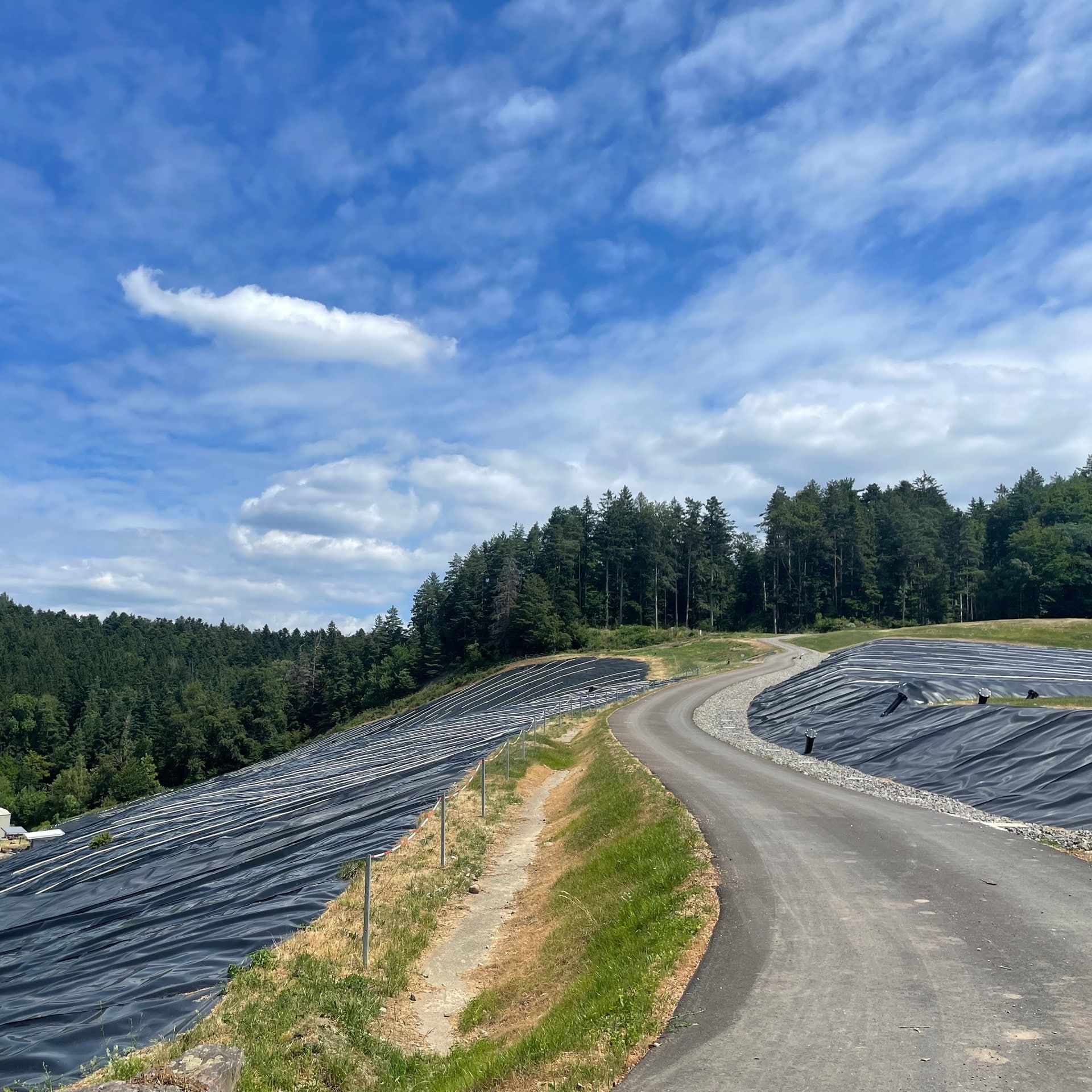 Eine so schöne Landschaft und ein so trauriger Ort – Erinnern und Vergessen in Haslach