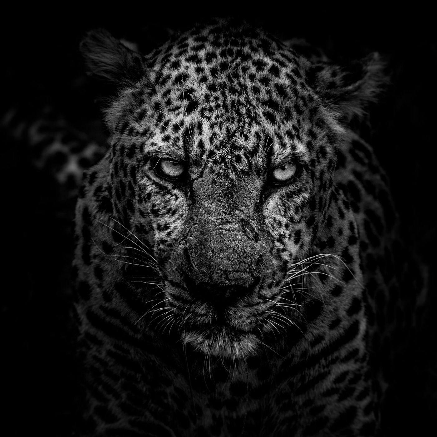 Eine spezifisch deutsche Theorie der Kolonisation - Deutscher Kolonialismus in der Pädagogik bis in die NS-Zeit und Nachwirkungen